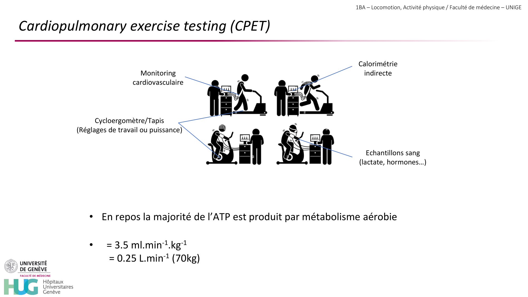 1BA 2025-2026 2026.04.13 - Energie du mouvement - Ivo NETO SILVA page 42