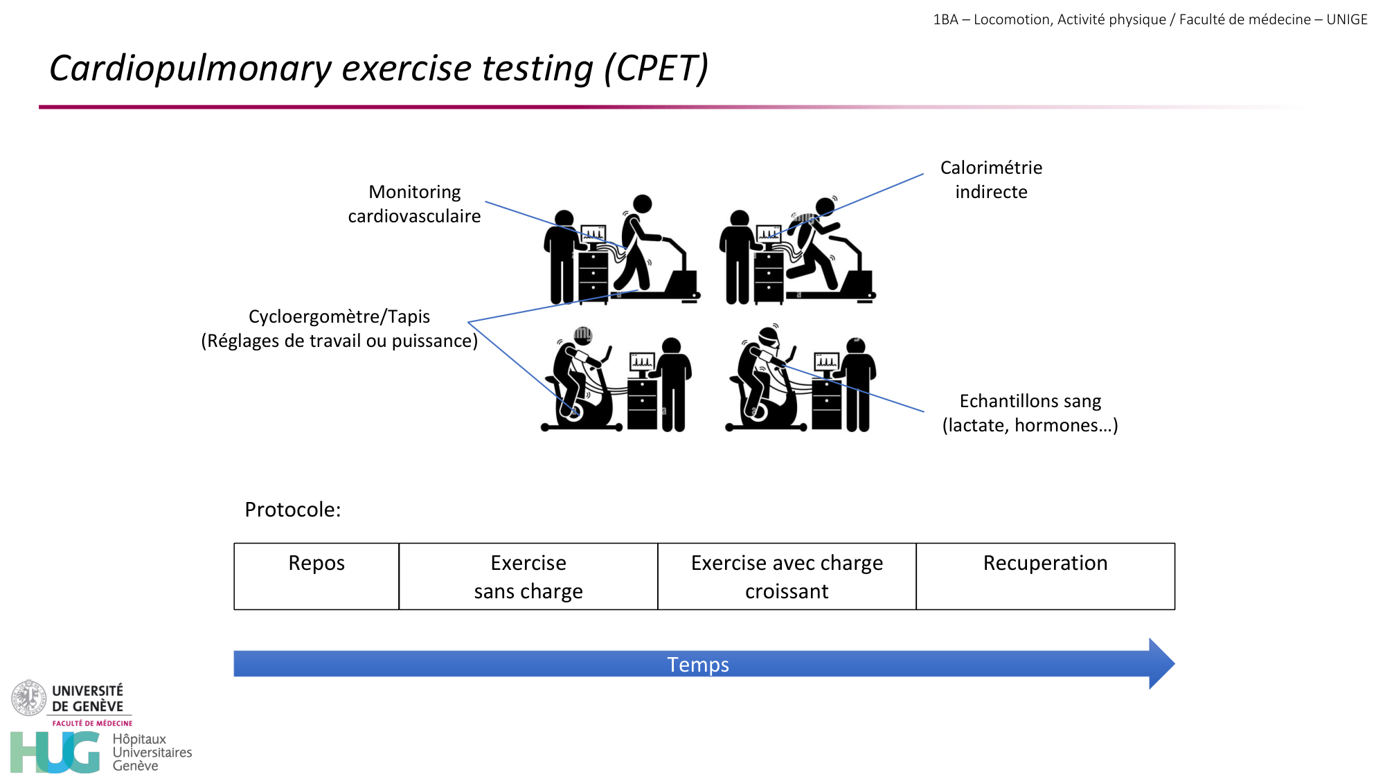 1BA 2025-2026 2026.04.13 - Energie du mouvement - Ivo NETO SILVA page 43