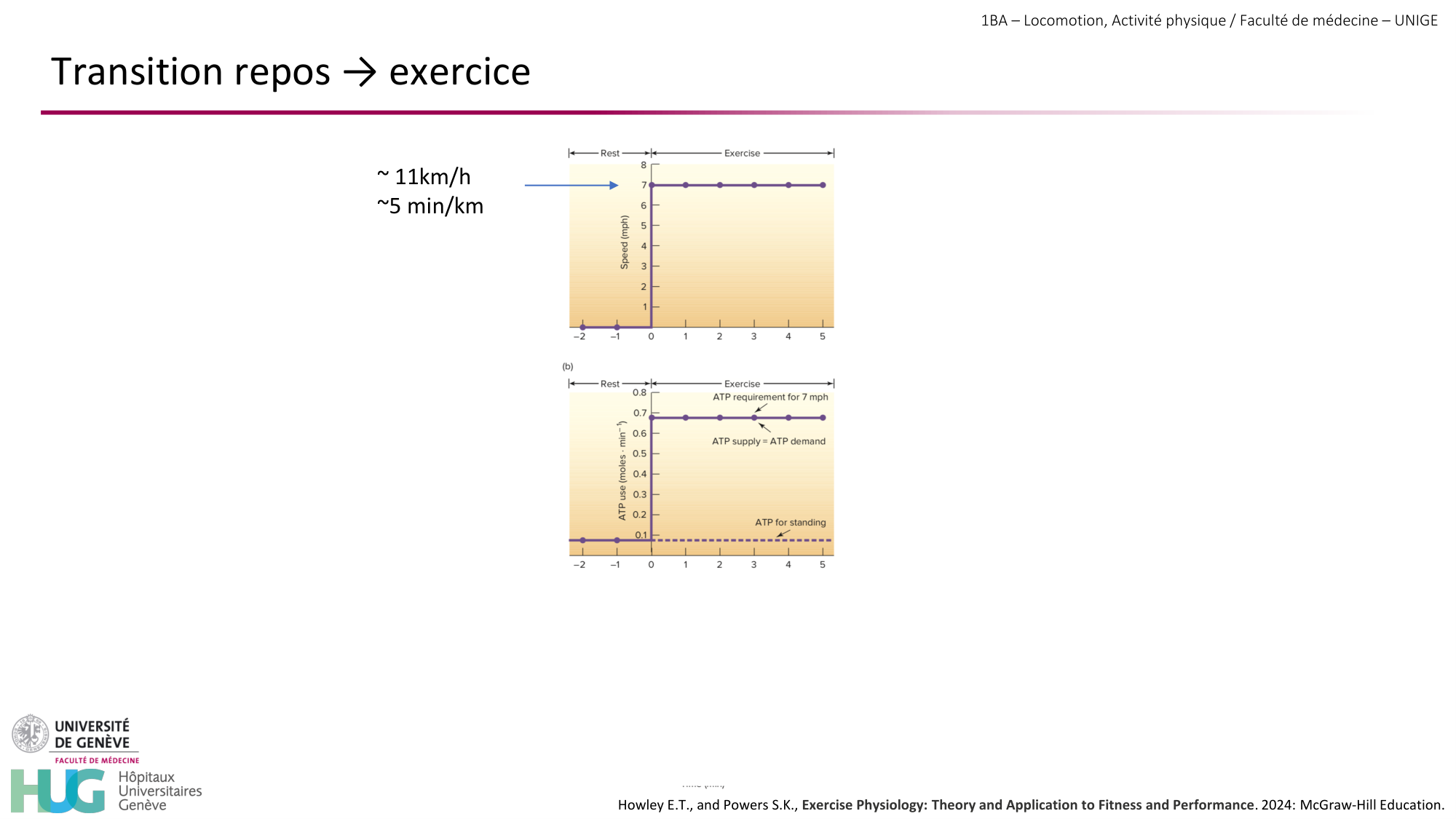 1BA 2025-2026 2026.04.13 - Energie du mouvement - Ivo NETO SILVA page 46