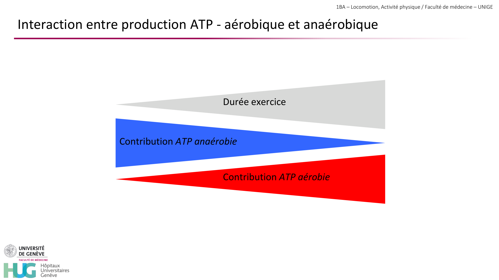 1BA 2025-2026 2026.04.13 - Energie du mouvement - Ivo NETO SILVA page 48