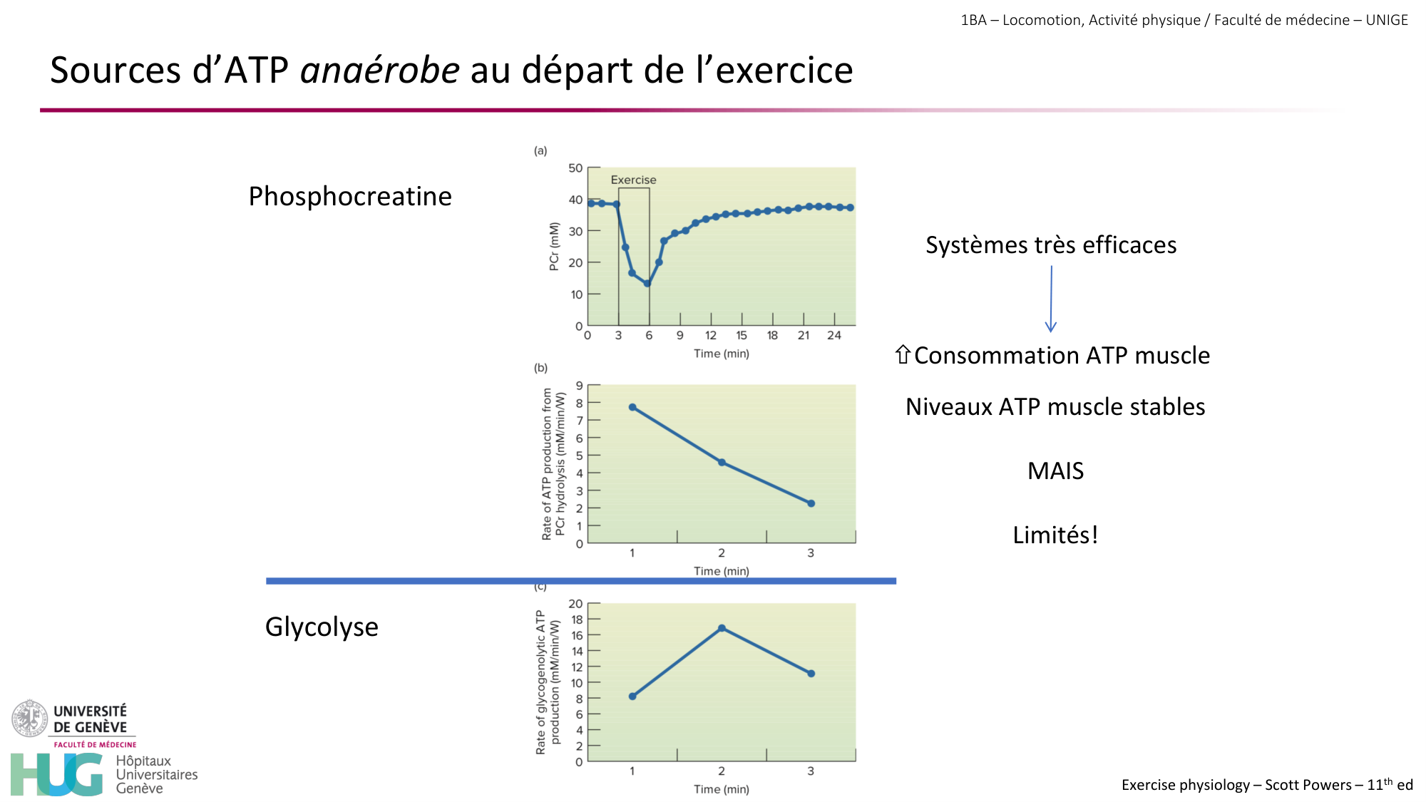 1BA 2025-2026 2026.04.13 - Energie du mouvement - Ivo NETO SILVA page 49