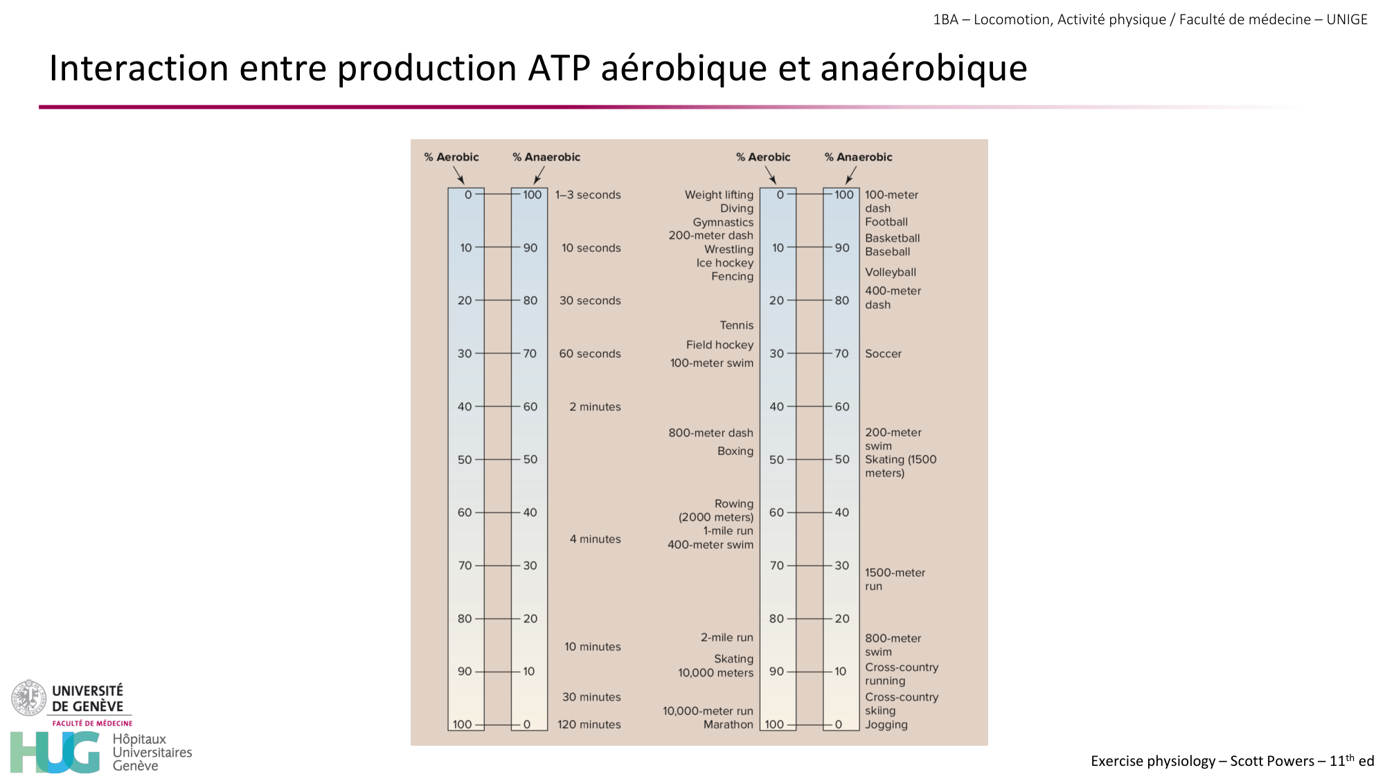 1BA 2025-2026 2026.04.13 - Energie du mouvement - Ivo NETO SILVA page 50