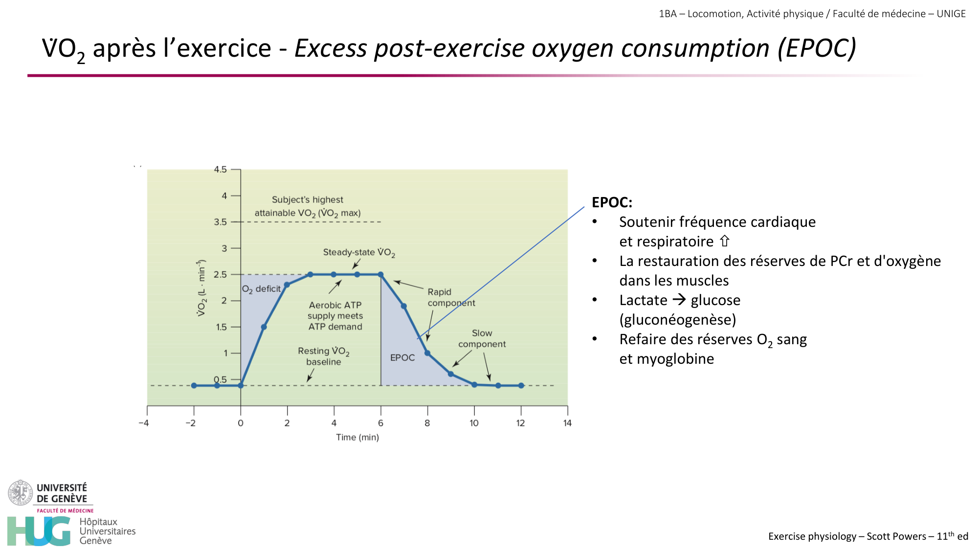 1BA 2025-2026 2026.04.13 - Energie du mouvement - Ivo NETO SILVA page 51