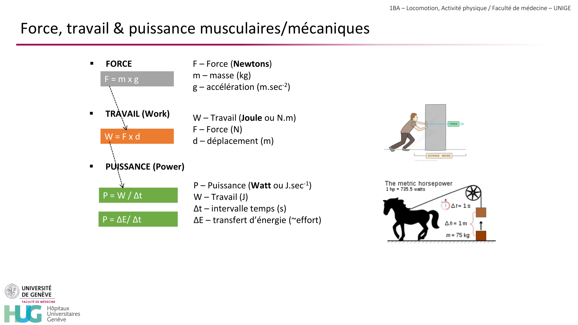 1BA 2025-2026 2026.04.13 - Energie du mouvement - Ivo NETO SILVA page 53