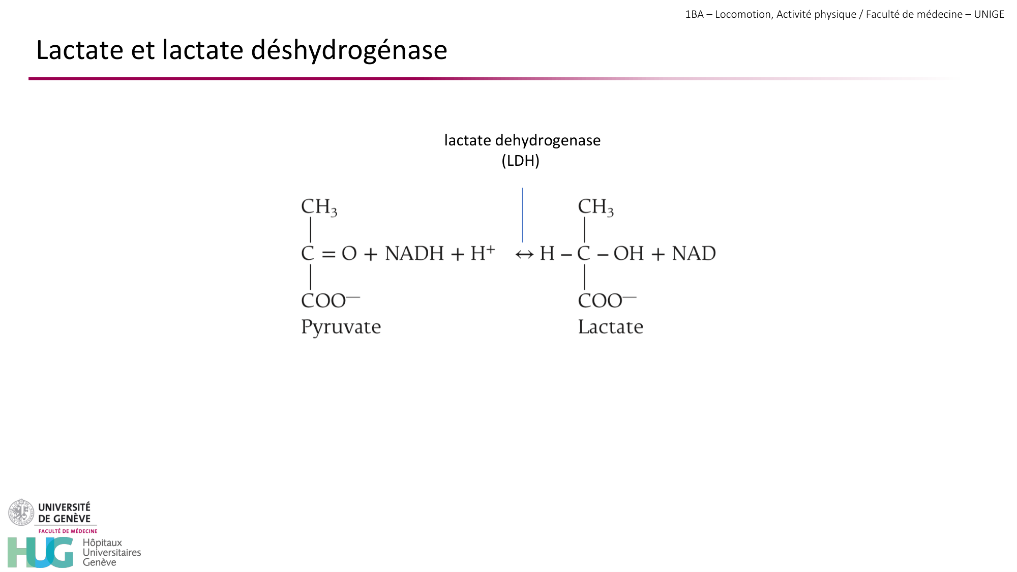 1BA 2025-2026 2026.04.13 - Energie du mouvement - Ivo NETO SILVA page 59