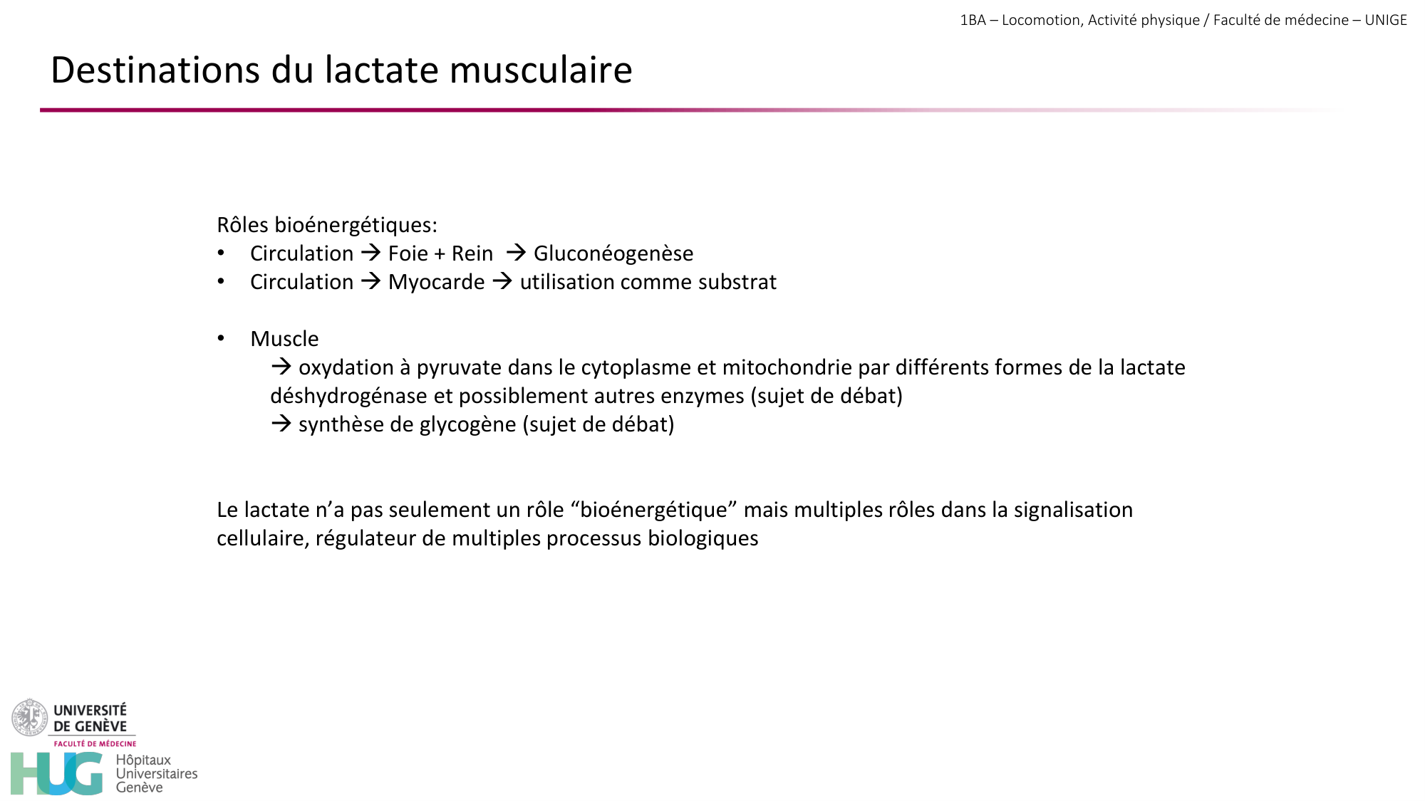 1BA 2025-2026 2026.04.13 - Energie du mouvement - Ivo NETO SILVA page 60