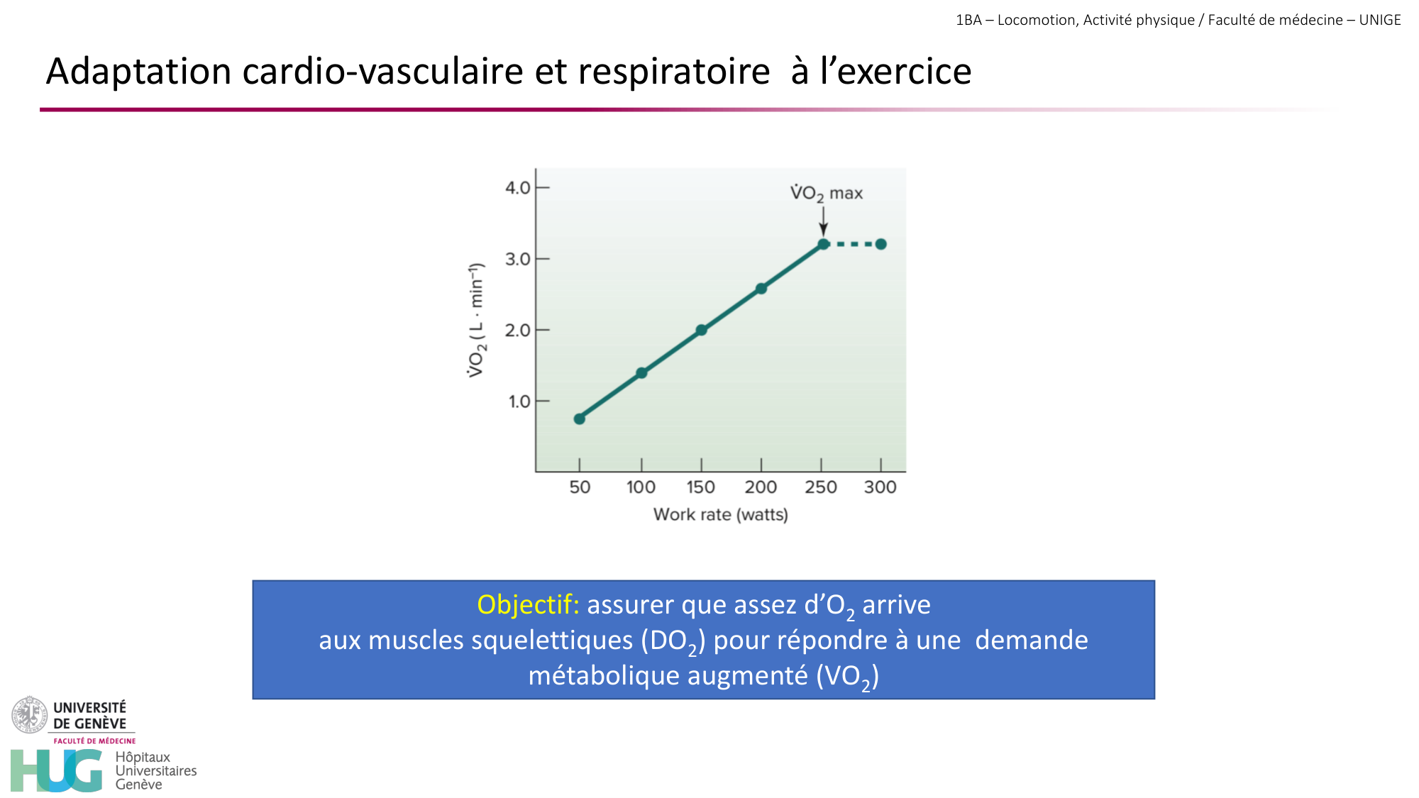 1BA 2025-2026 2026.04.14 - Réponse cardio-vasculaire et respiratoire page 4