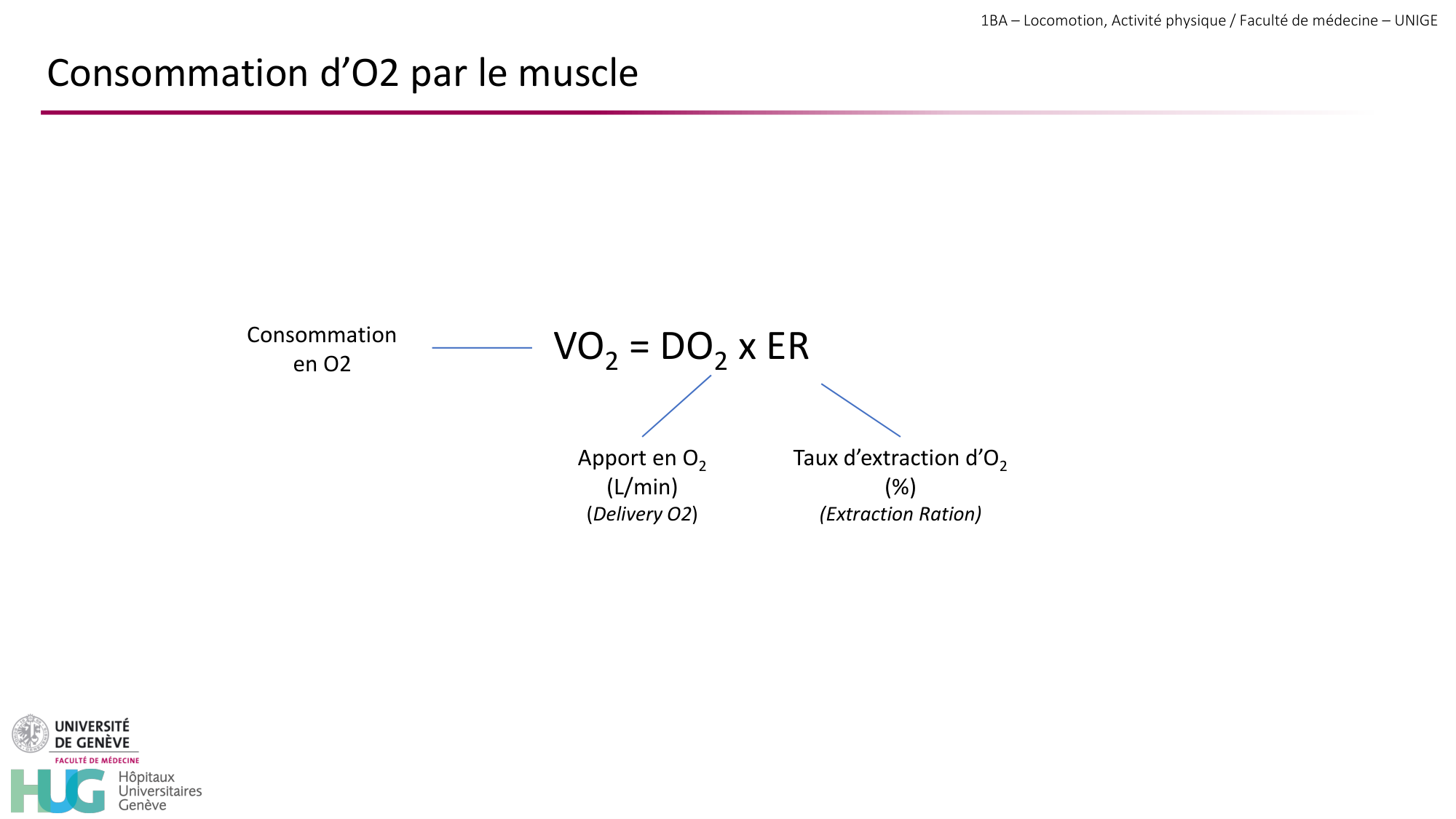 1BA 2025-2026 2026.04.14 - Réponse cardio-vasculaire et respiratoire page 6