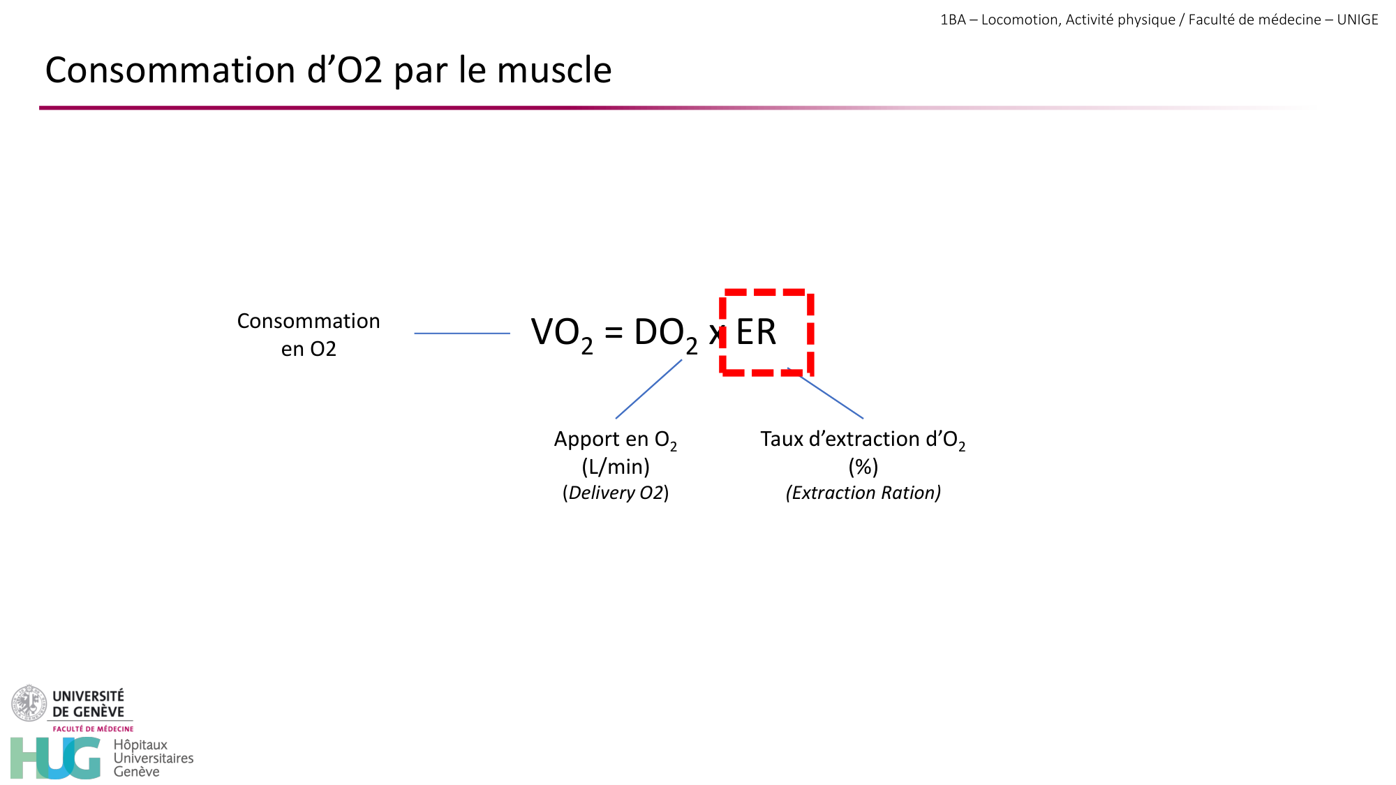1BA 2025-2026 2026.04.14 - Réponse cardio-vasculaire et respiratoire page 7