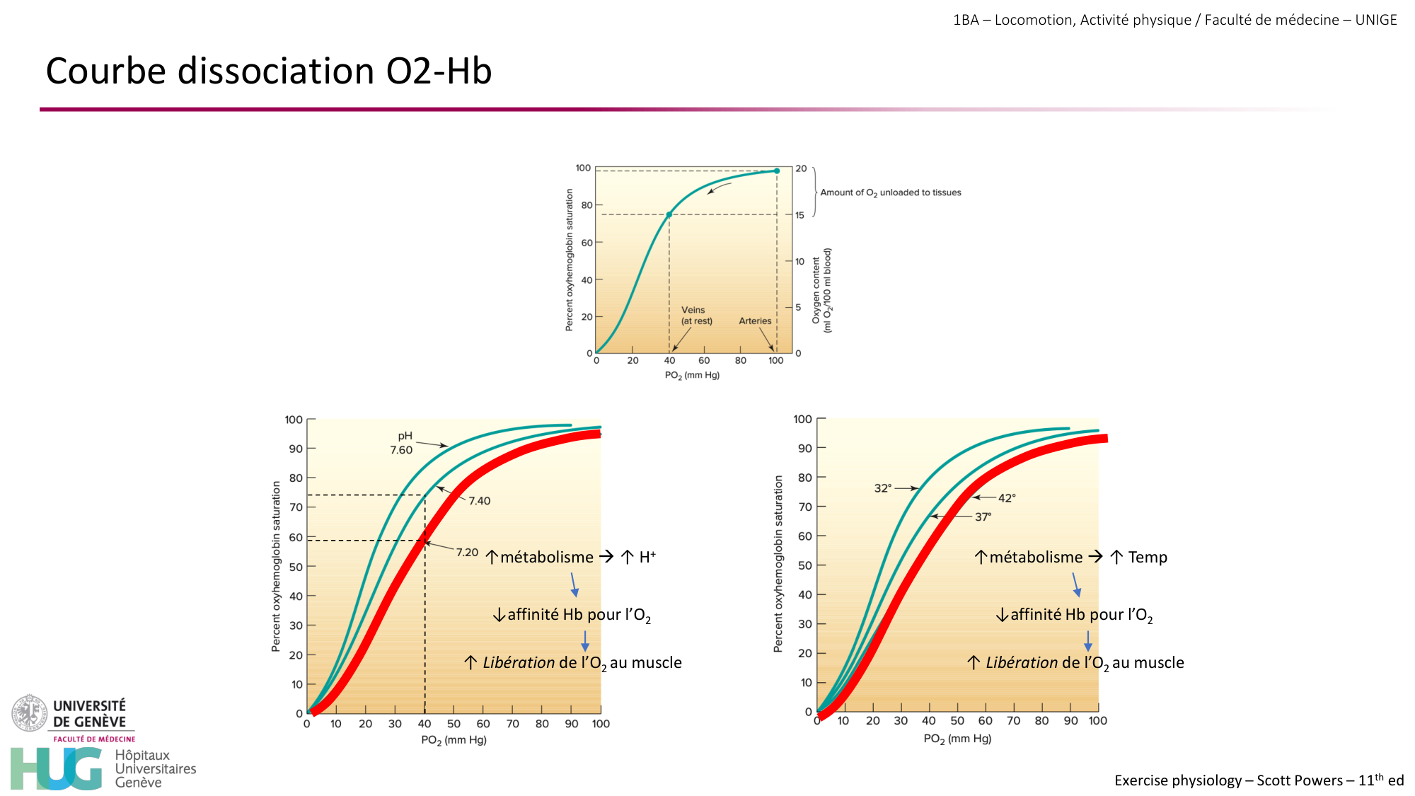 1BA 2025-2026 2026.04.14 - Réponse cardio-vasculaire et respiratoire page 10
