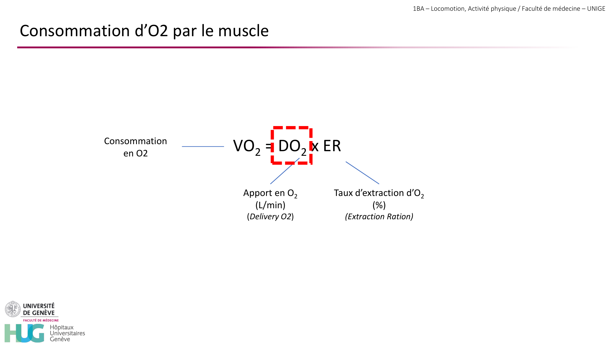1BA 2025-2026 2026.04.14 - Réponse cardio-vasculaire et respiratoire page 11