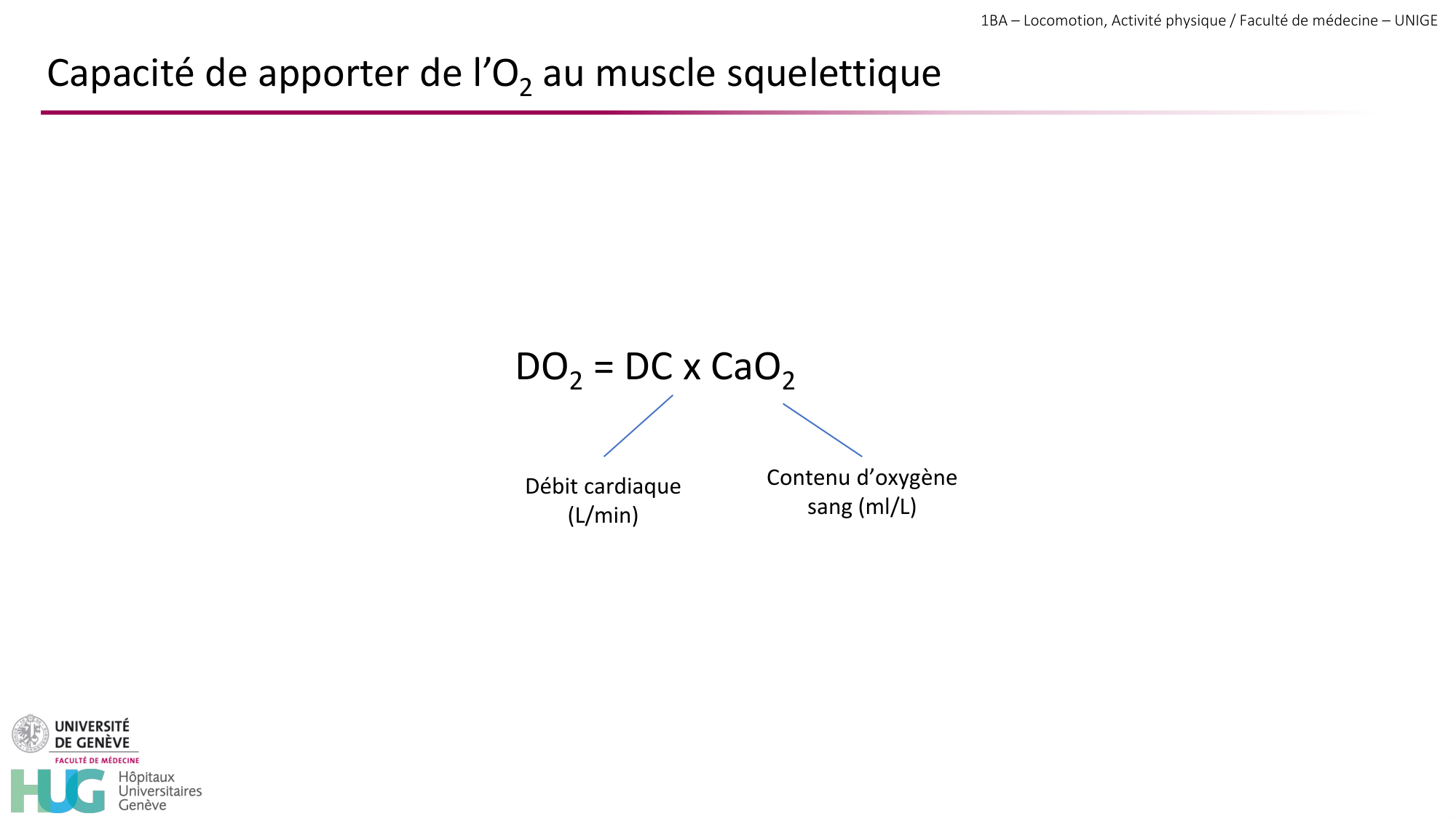 1BA 2025-2026 2026.04.14 - Réponse cardio-vasculaire et respiratoire page 12