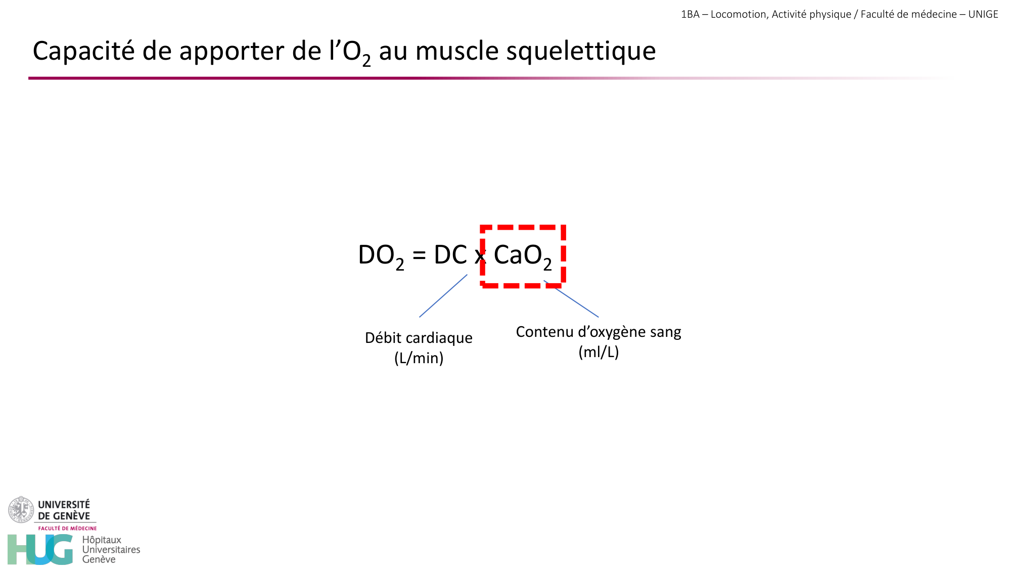 1BA 2025-2026 2026.04.14 - Réponse cardio-vasculaire et respiratoire page 13