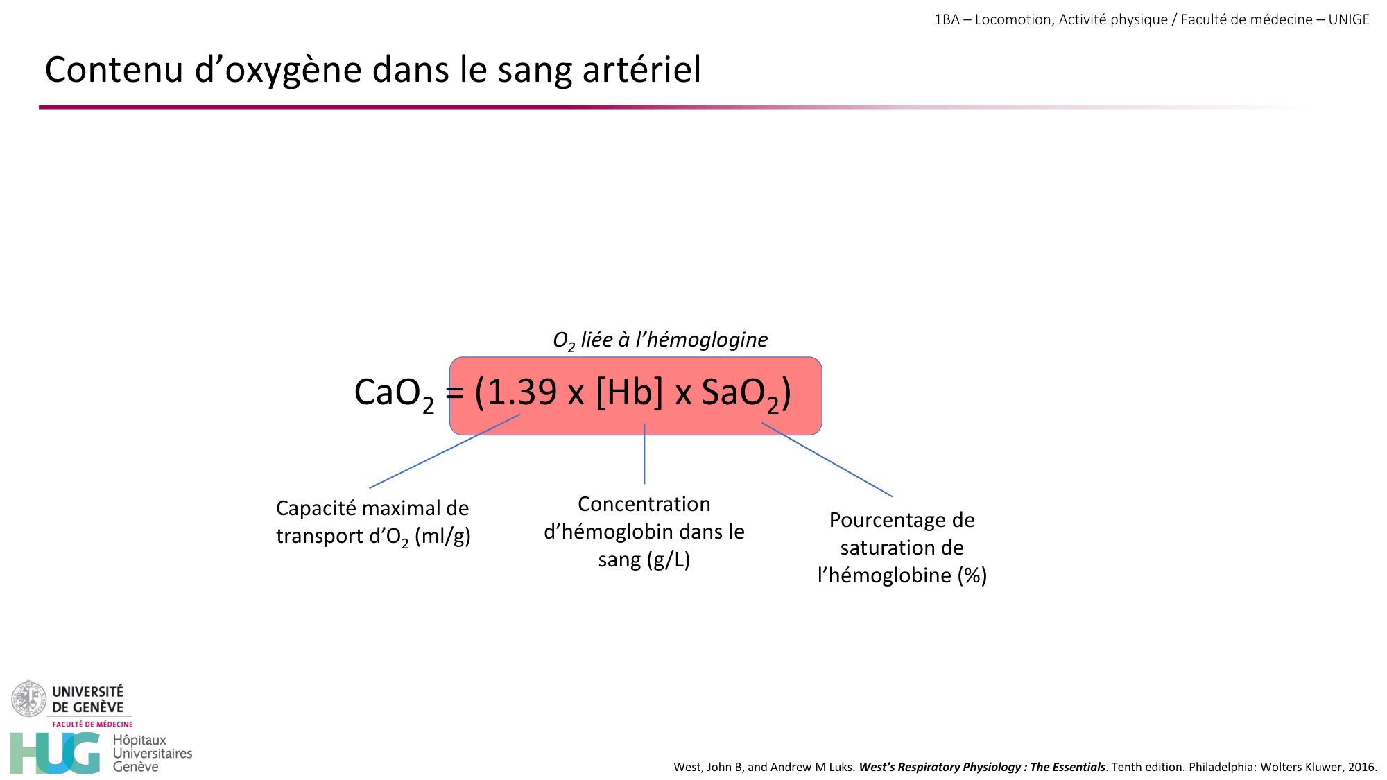 1BA 2025-2026 2026.04.14 - Réponse cardio-vasculaire et respiratoire page 14