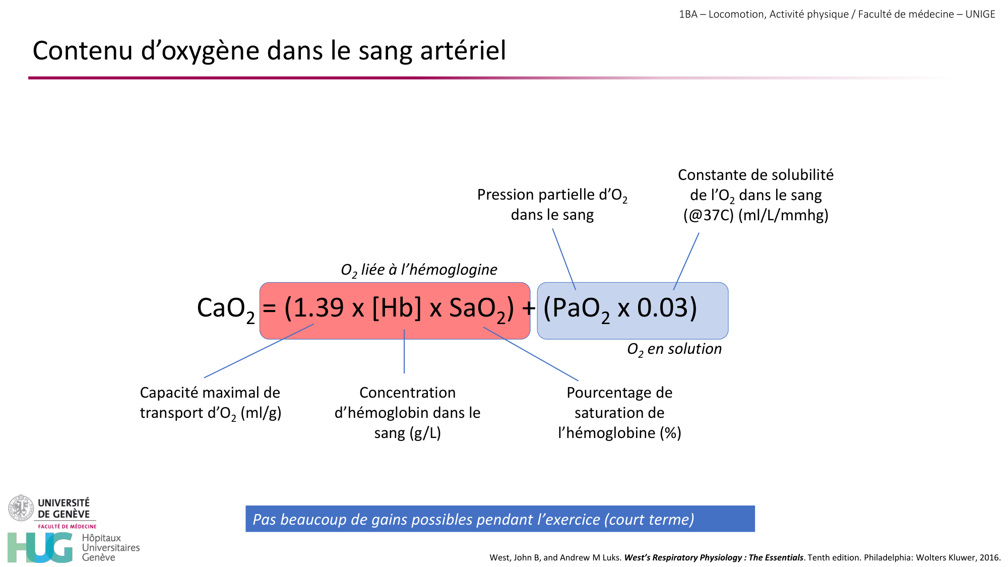 1BA 2025-2026 2026.04.14 - Réponse cardio-vasculaire et respiratoire page 15