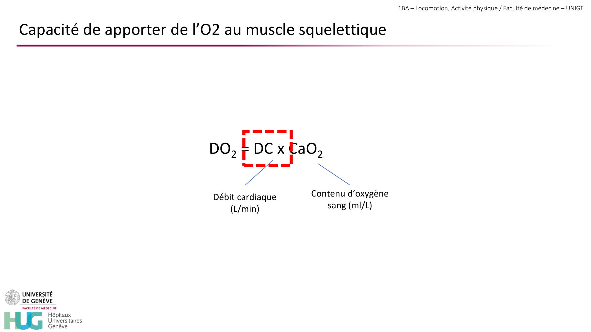 1BA 2025-2026 2026.04.14 - Réponse cardio-vasculaire et respiratoire page 16
