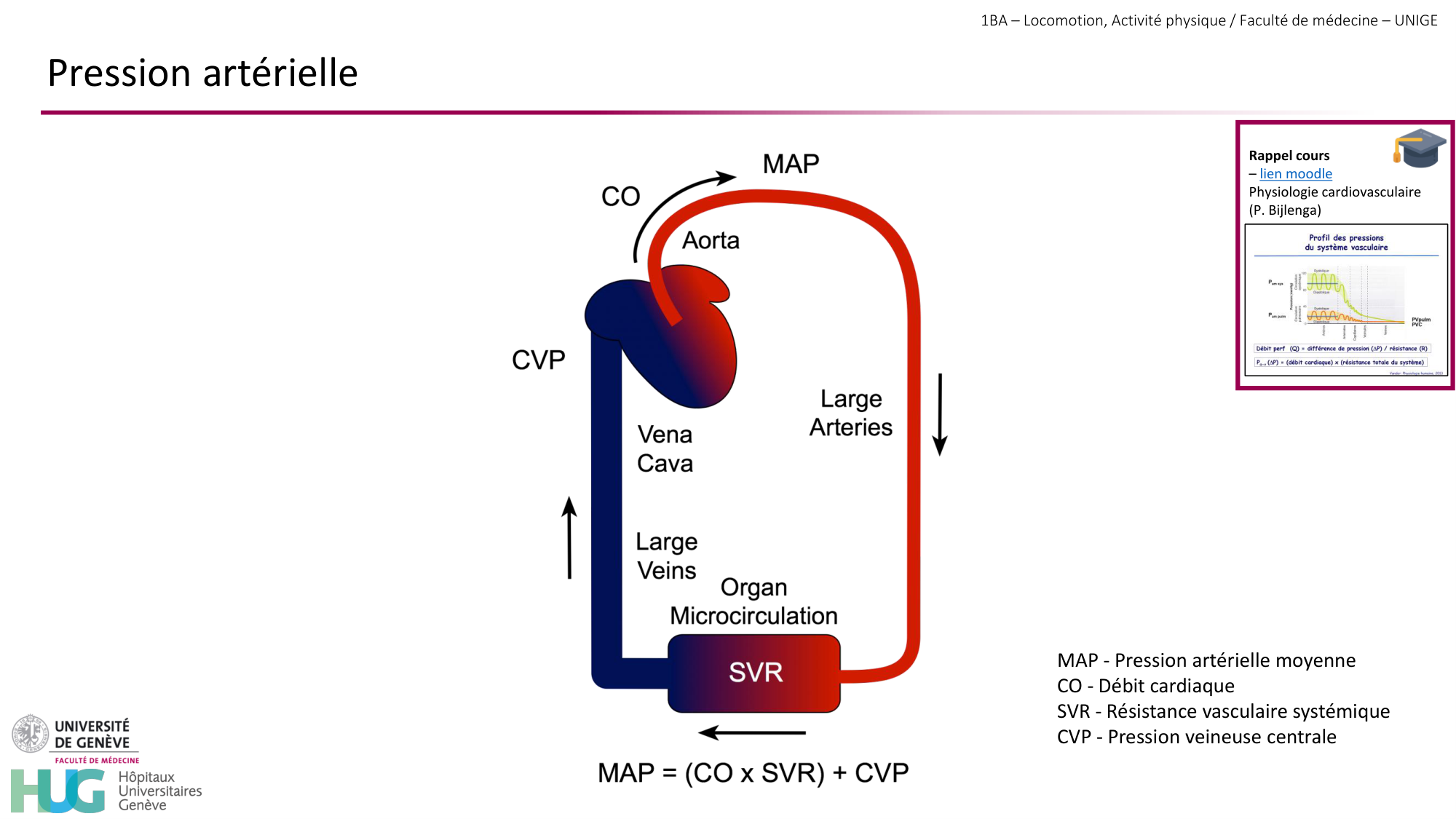 1BA 2025-2026 2026.04.14 - Réponse cardio-vasculaire et respiratoire page 20