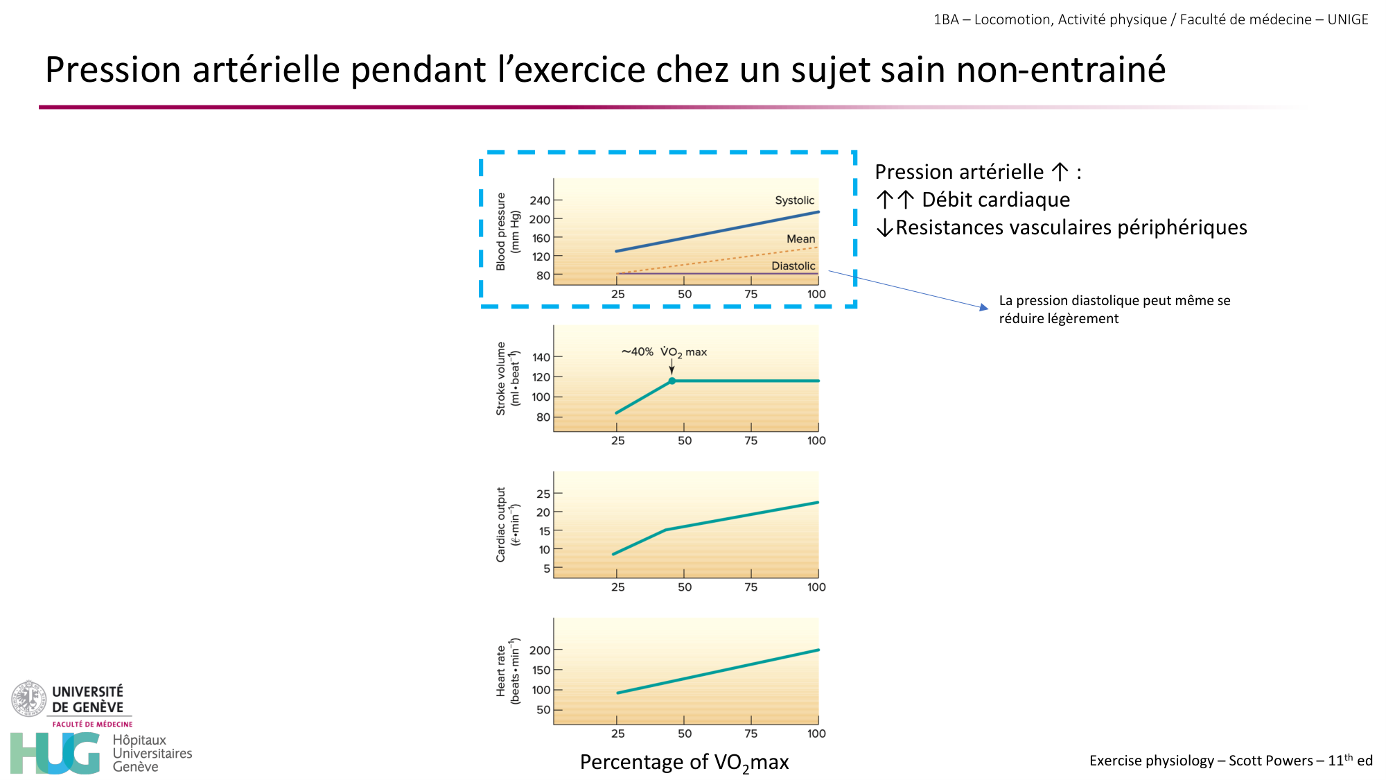 1BA 2025-2026 2026.04.14 - Réponse cardio-vasculaire et respiratoire page 21
