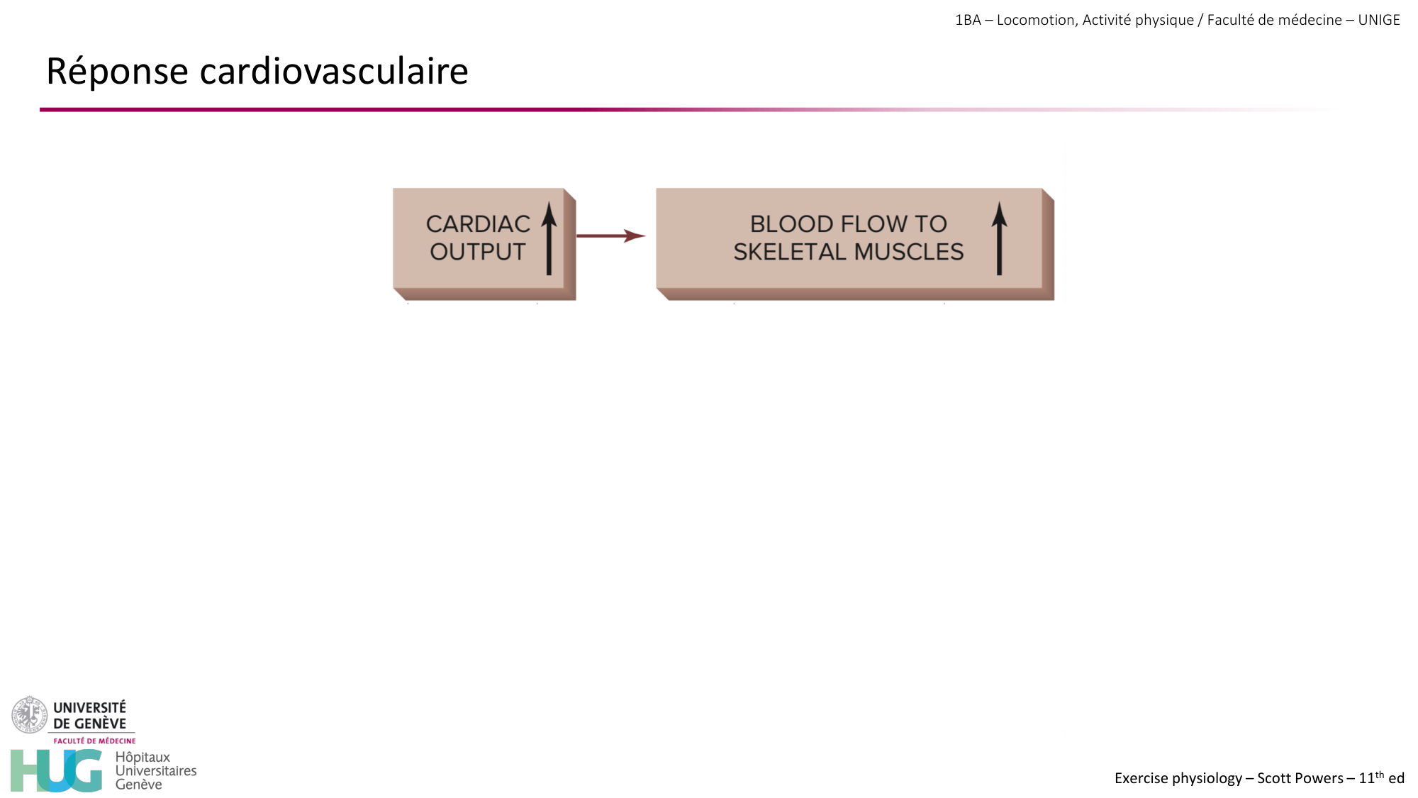 1BA 2025-2026 2026.04.14 - Réponse cardio-vasculaire et respiratoire page 22