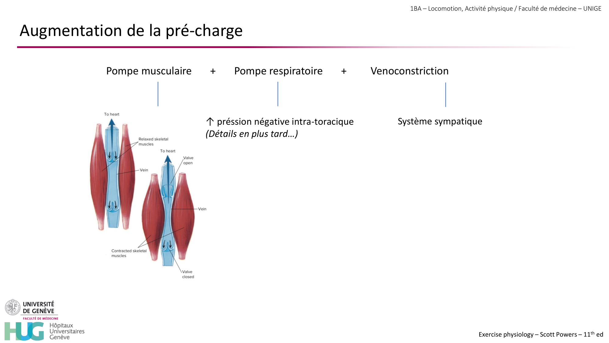 1BA 2025-2026 2026.04.14 - Réponse cardio-vasculaire et respiratoire page 23