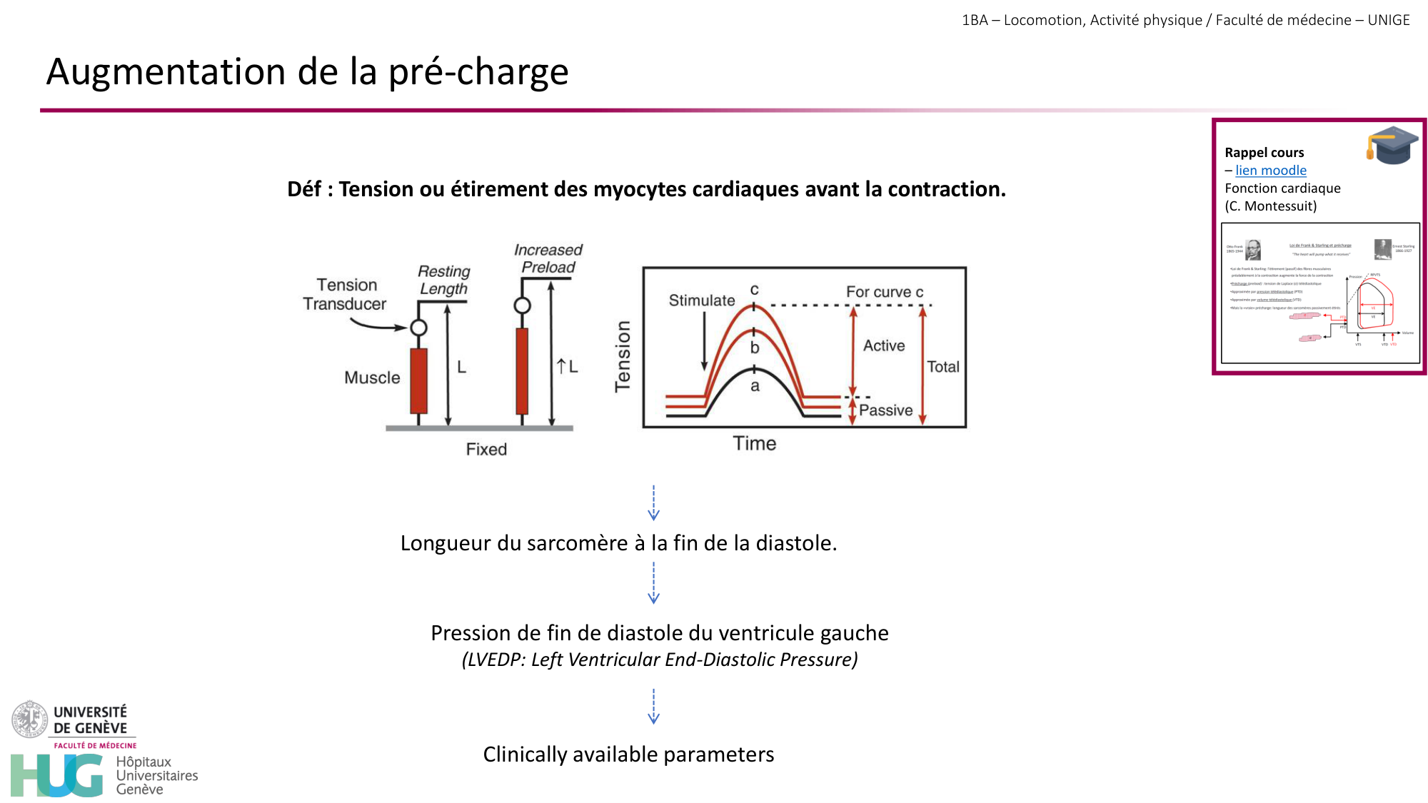 1BA 2025-2026 2026.04.14 - Réponse cardio-vasculaire et respiratoire page 24