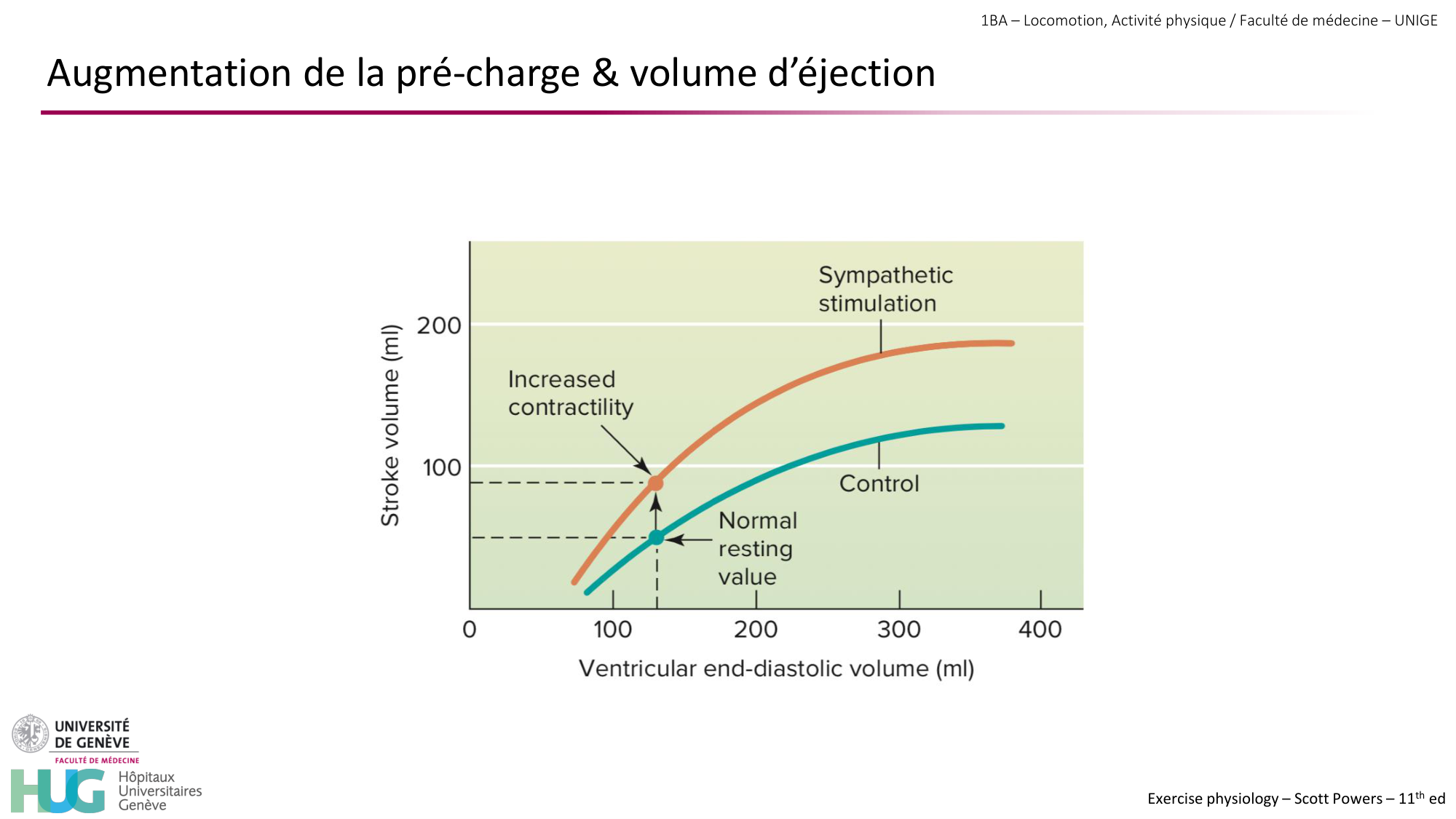 1BA 2025-2026 2026.04.14 - Réponse cardio-vasculaire et respiratoire page 25