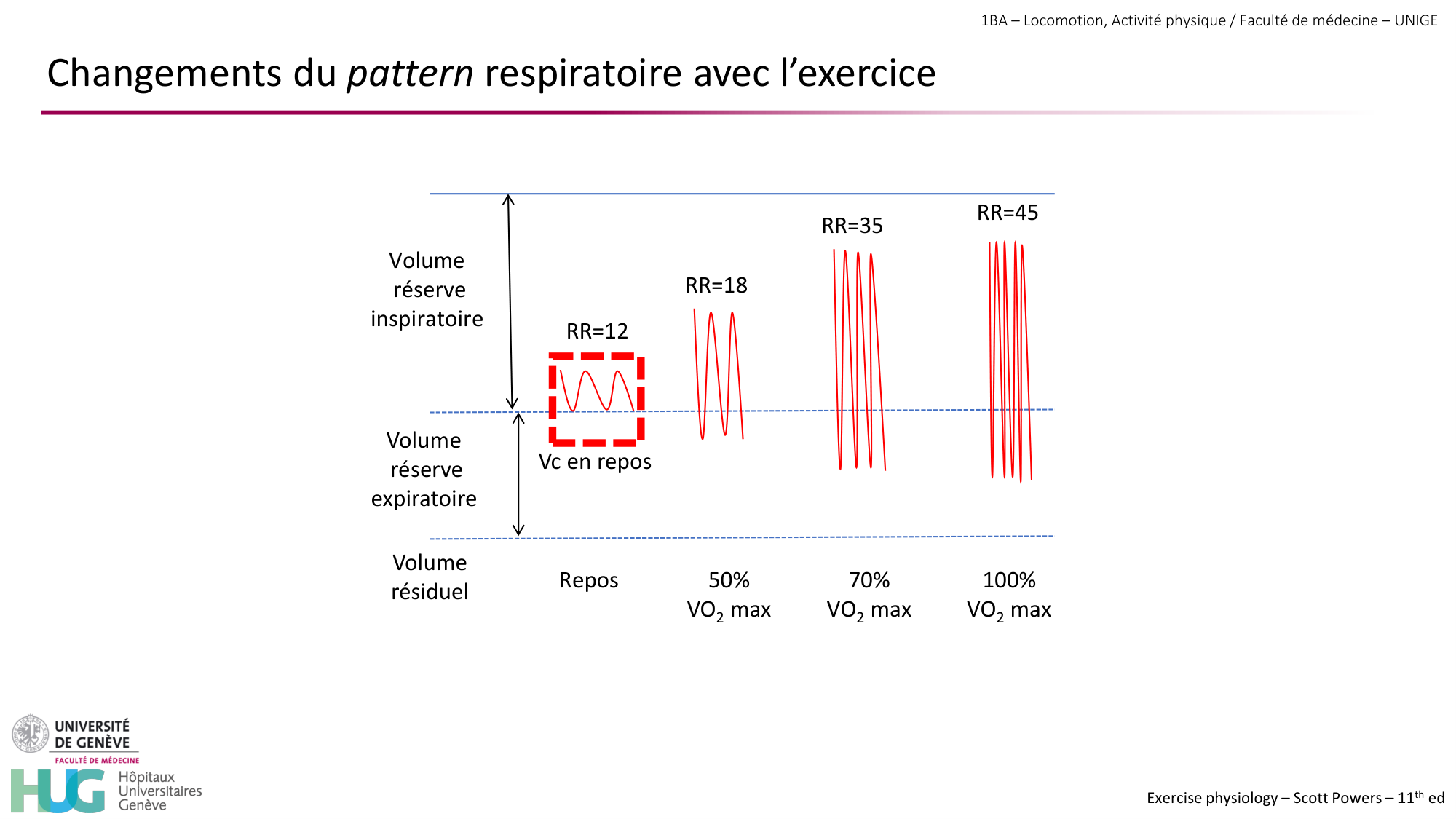 1BA 2025-2026 2026.04.14 - Réponse cardio-vasculaire et respiratoire page 32