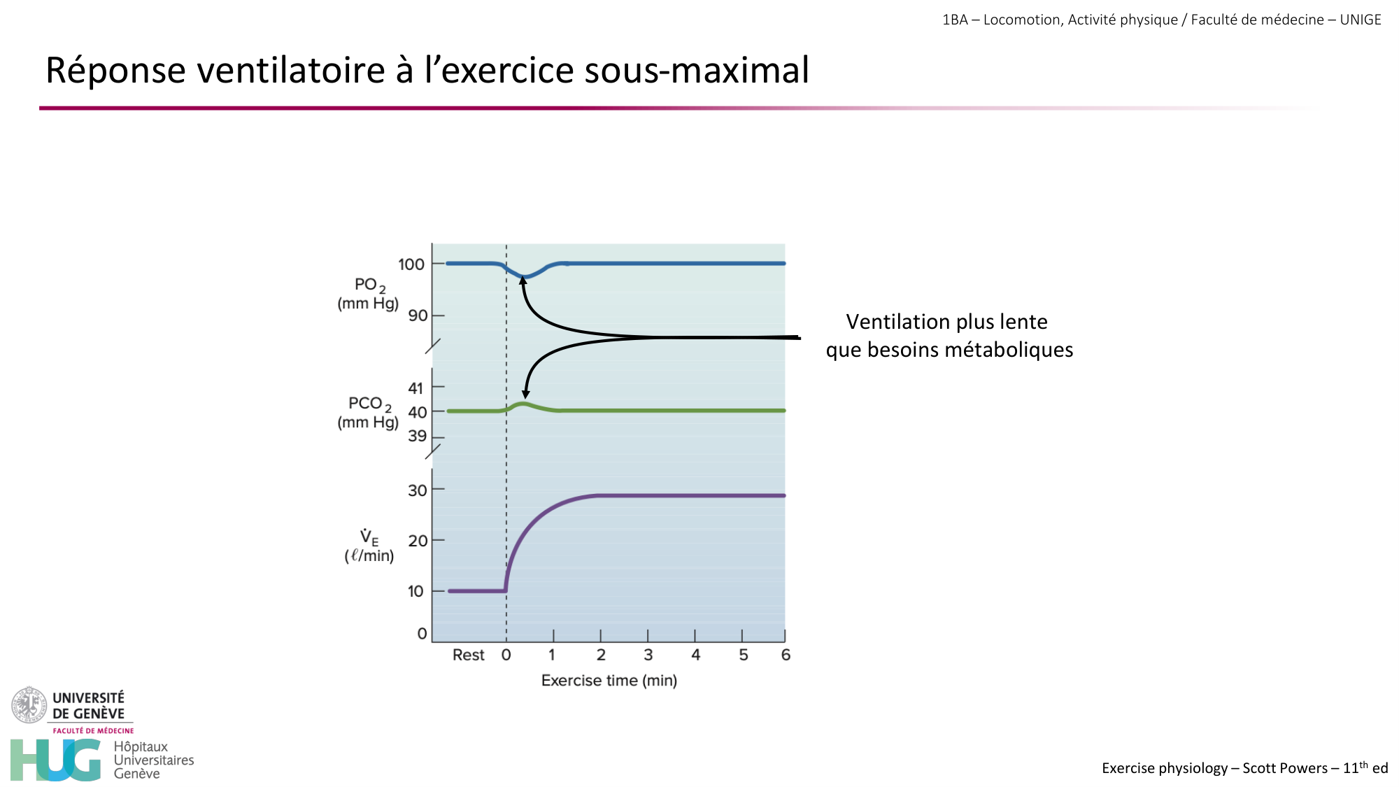 1BA 2025-2026 2026.04.14 - Réponse cardio-vasculaire et respiratoire page 33