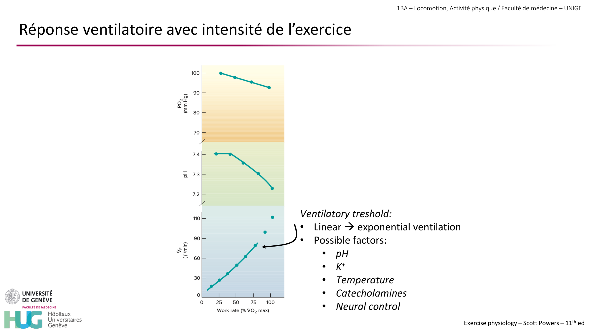 1BA 2025-2026 2026.04.14 - Réponse cardio-vasculaire et respiratoire page 34
