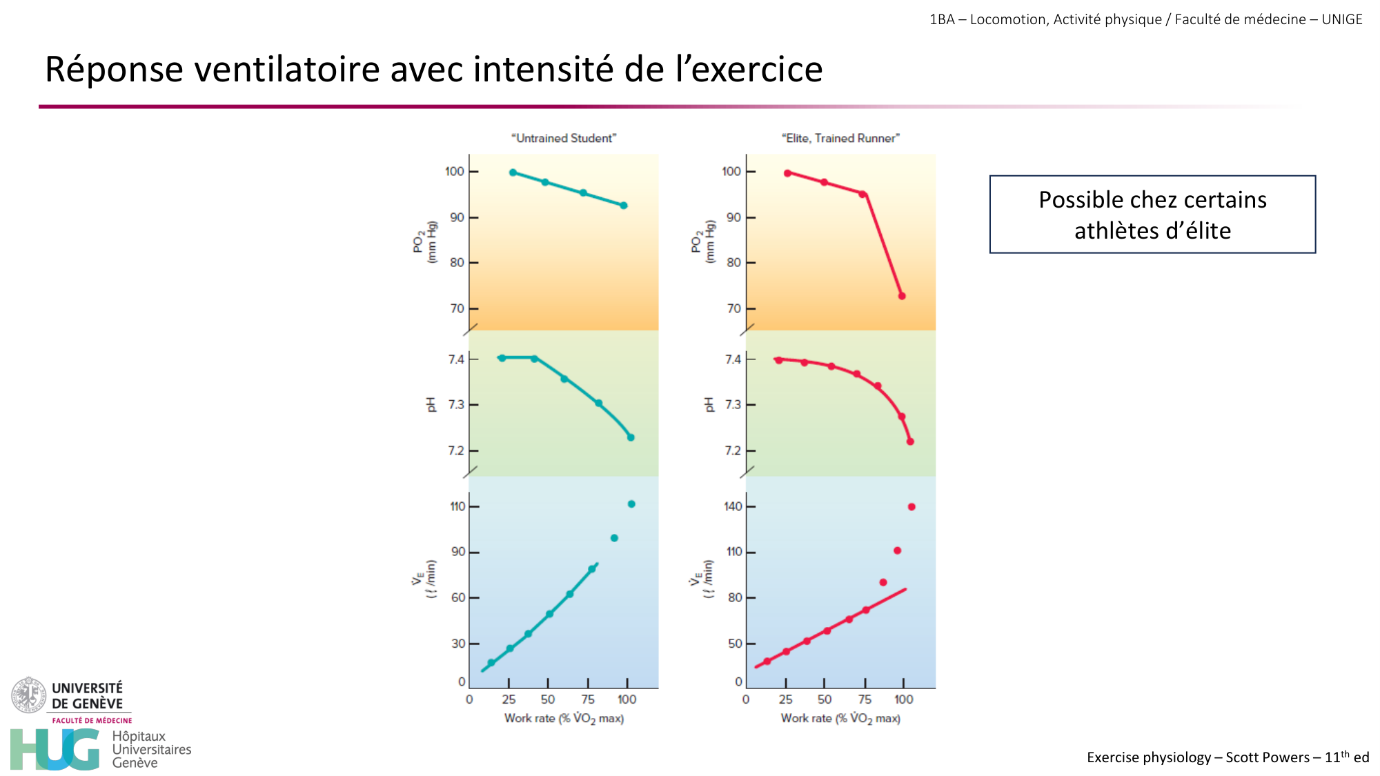 1BA 2025-2026 2026.04.14 - Réponse cardio-vasculaire et respiratoire page 35