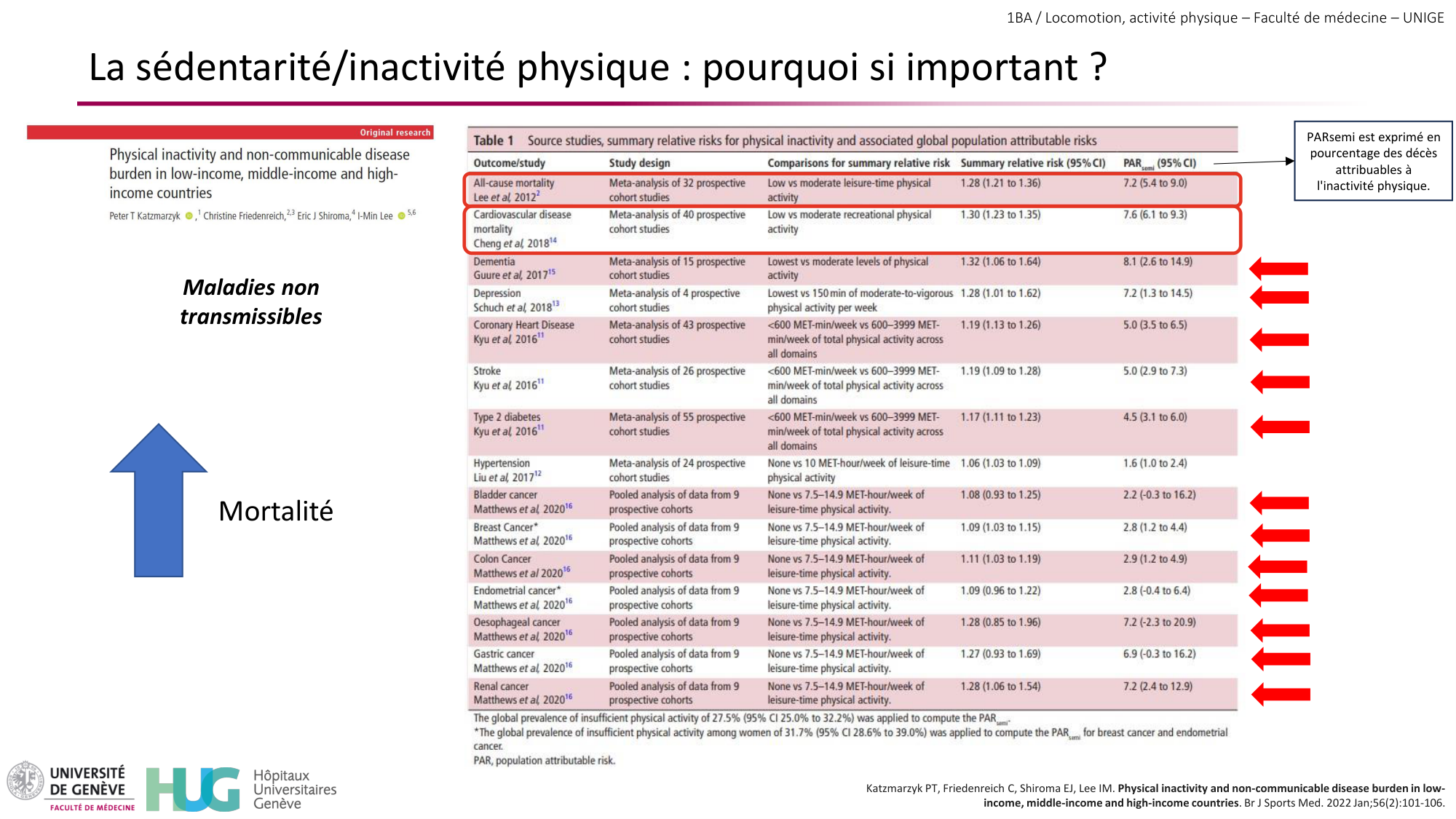 1BA 2025-2026 2026.04.15 - Activité Physique - Ivo NETO SILVA page 20