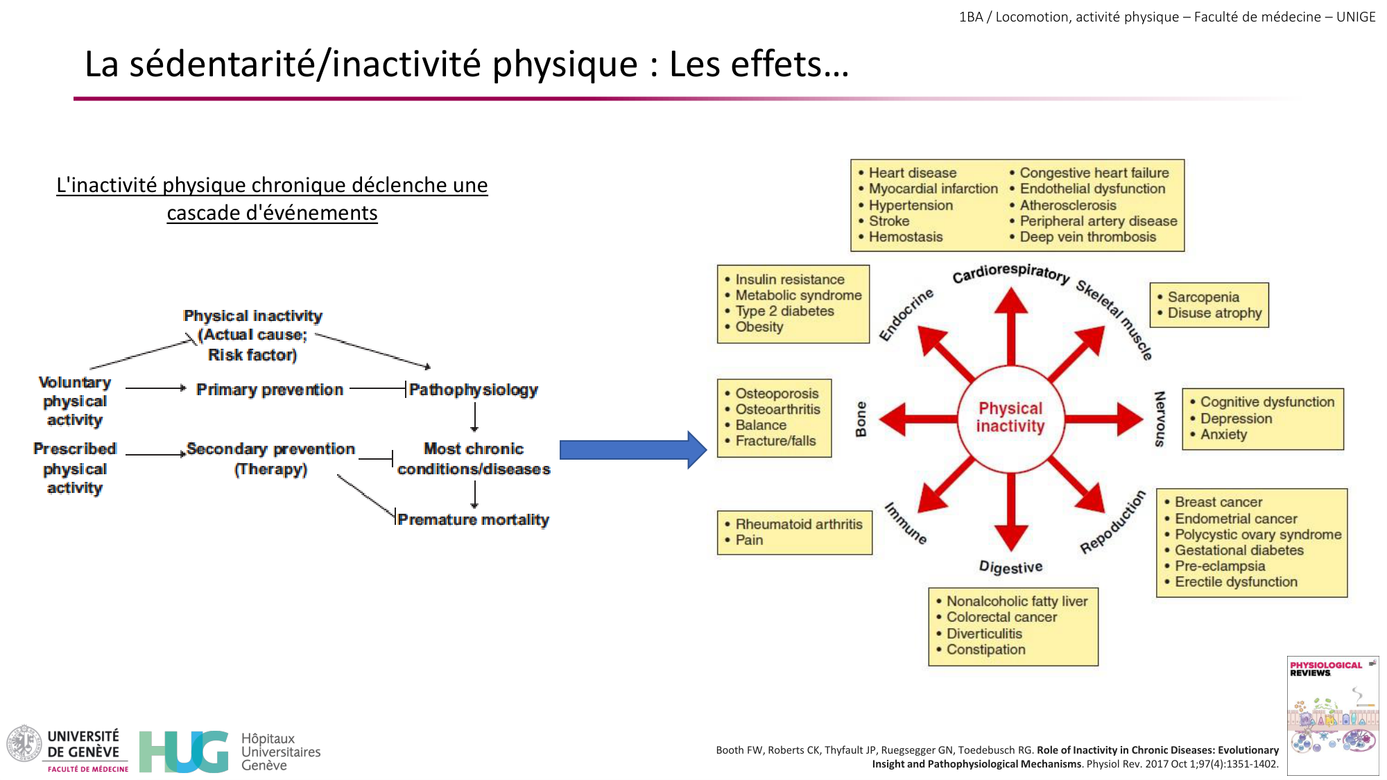 1BA 2025-2026 2026.04.15 - Activité Physique - Ivo NETO SILVA page 21