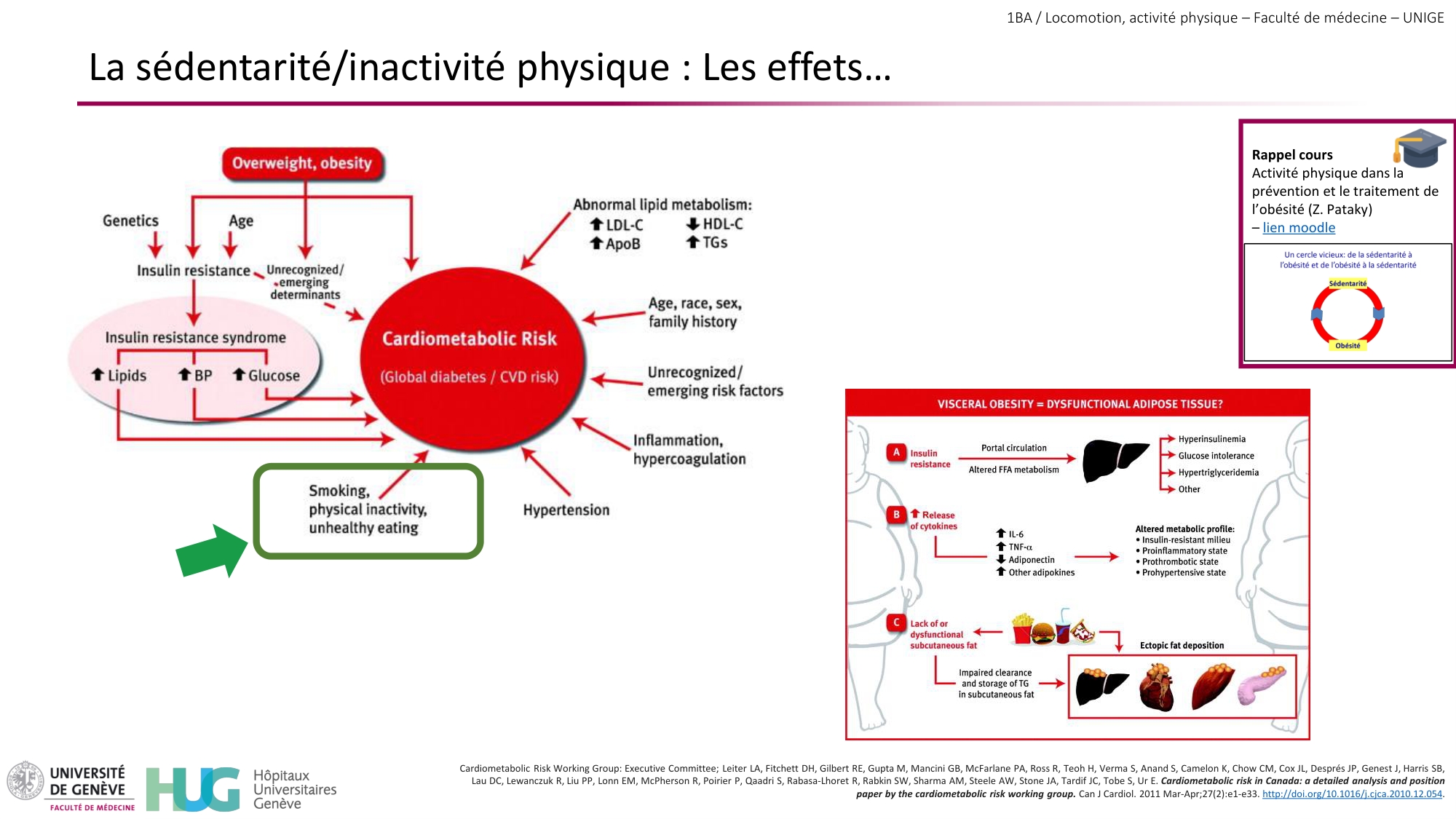 1BA 2025-2026 2026.04.15 - Activité Physique - Ivo NETO SILVA page 23