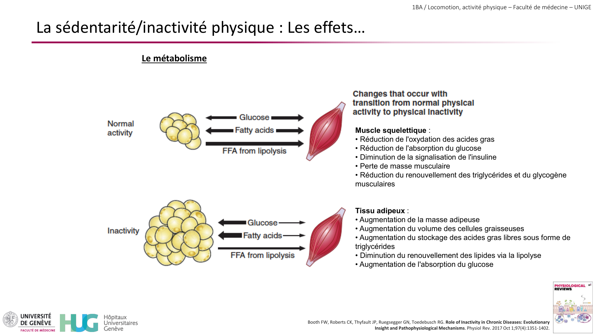 1BA 2025-2026 2026.04.15 - Activité Physique - Ivo NETO SILVA page 24