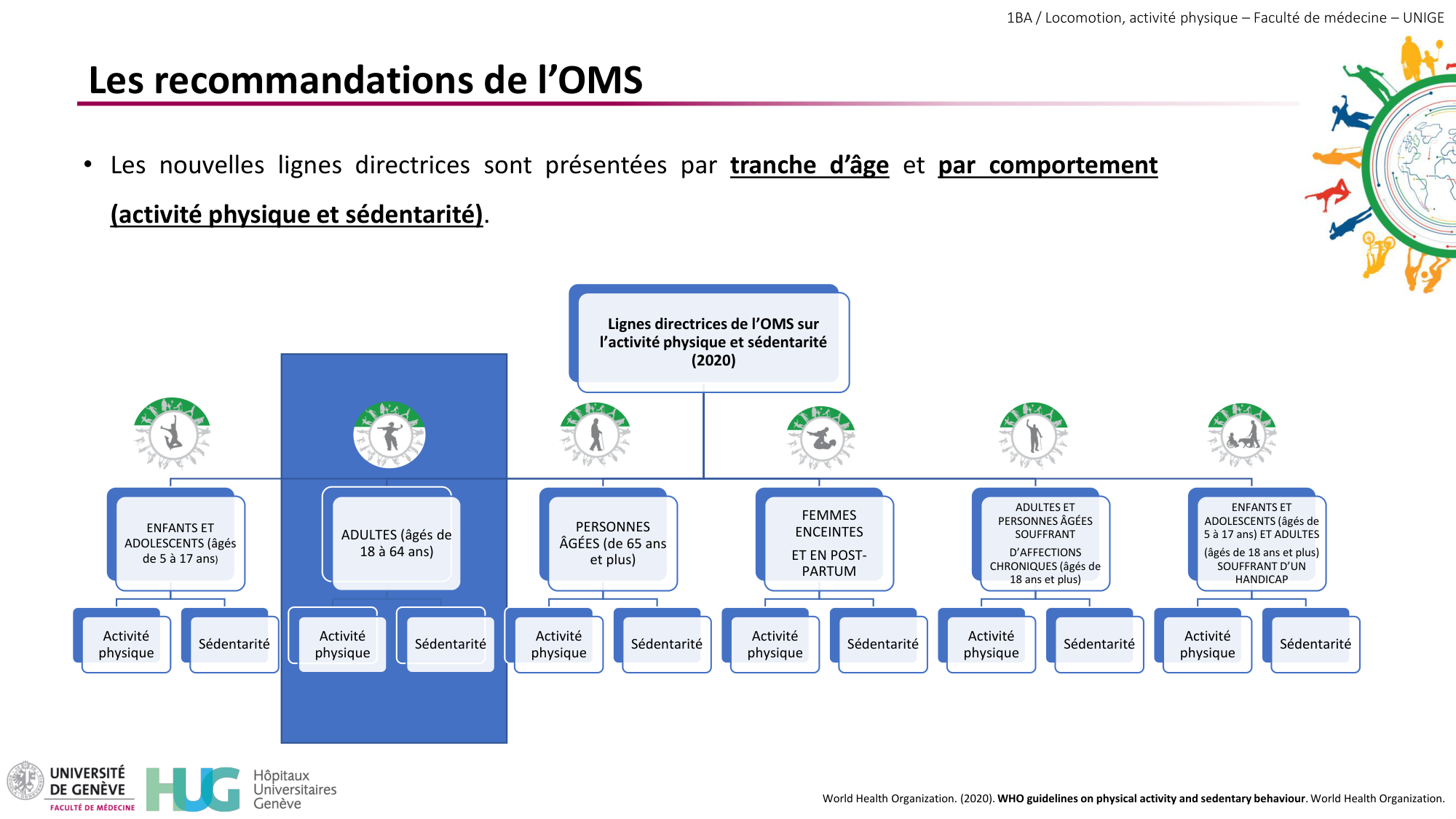 1BA 2025-2026 2026.04.15 - Activité Physique - Ivo NETO SILVA page 36