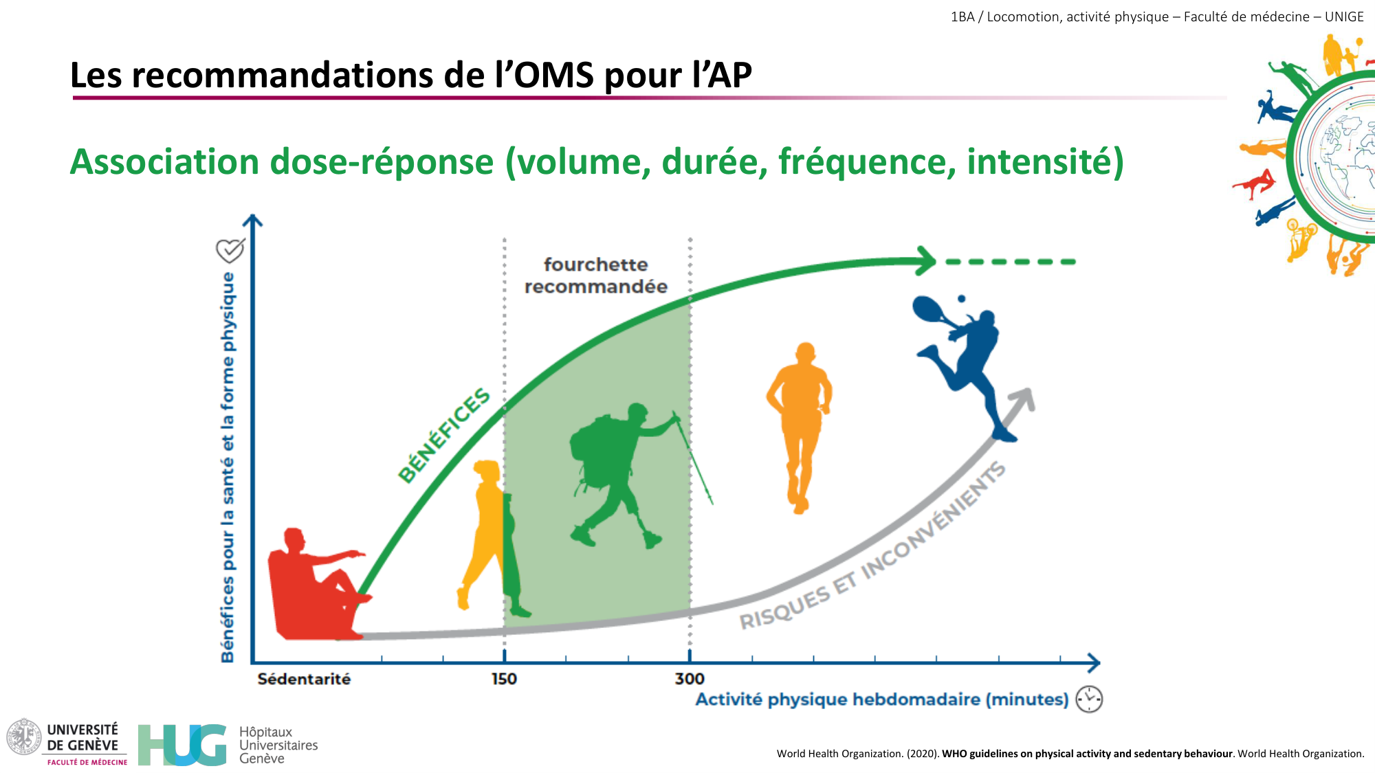 1BA 2025-2026 2026.04.15 - Activité Physique - Ivo NETO SILVA page 40