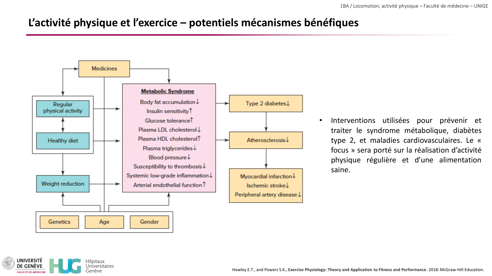 1BA 2025-2026 2026.04.15 - Activité Physique - Ivo NETO SILVA page 51