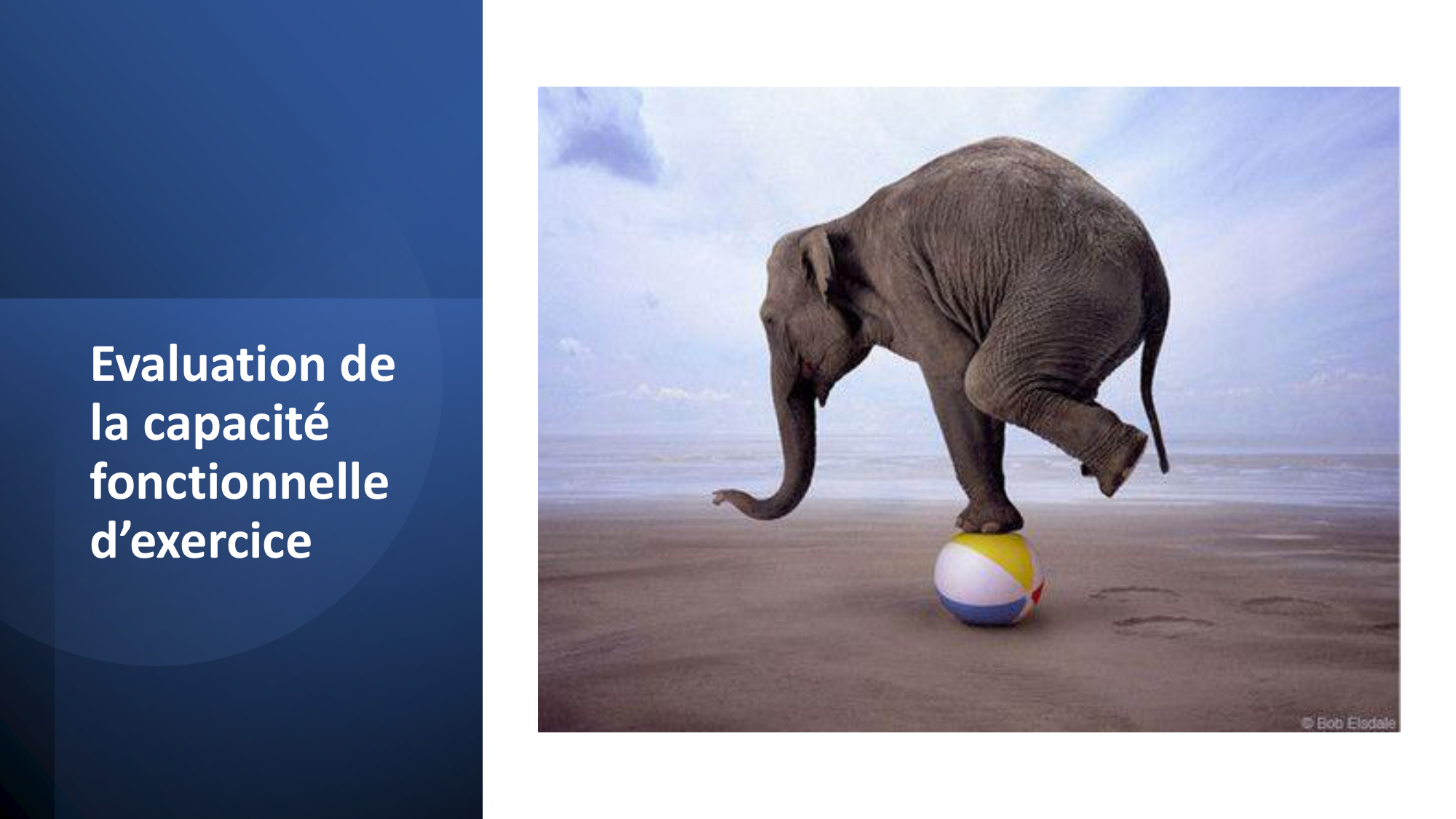 1BA 2025-2026 2026.04.15 - Activité Physique - Ivo NETO SILVA page 75