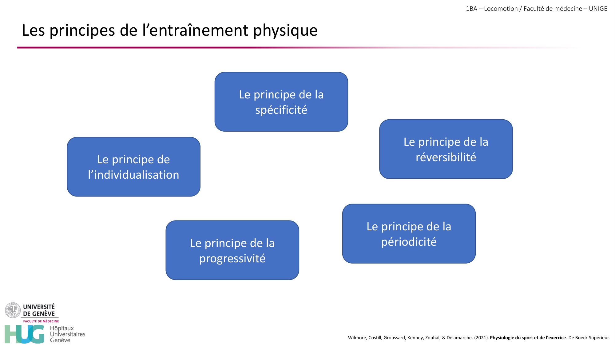 1BA 2025-2026 2026.04.16 - Entraînement physique - Ivo NETO SILVA page 7