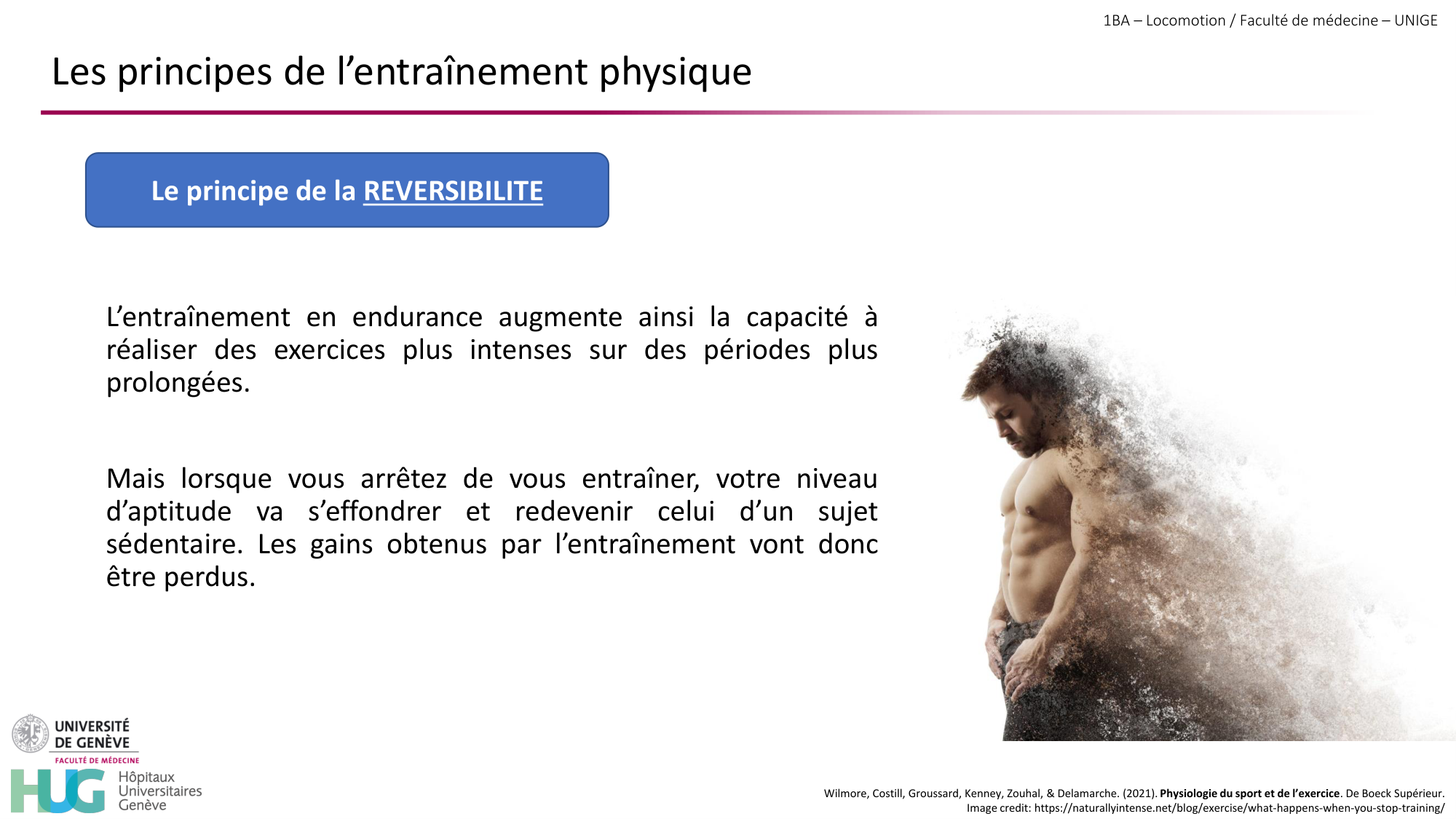 1BA 2025-2026 2026.04.16 - Entraînement physique - Ivo NETO SILVA page 10