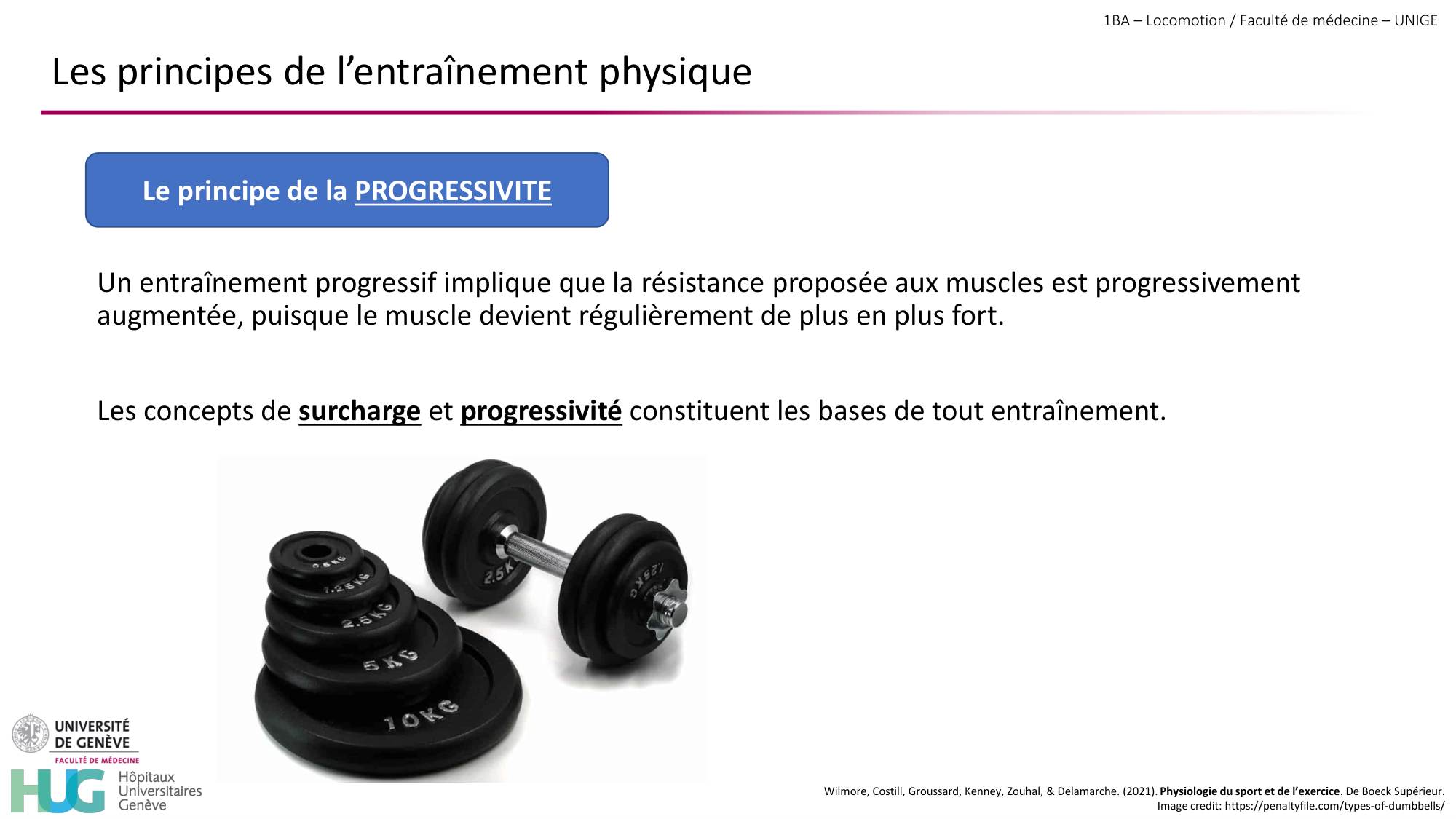 1BA 2025-2026 2026.04.16 - Entraînement physique - Ivo NETO SILVA page 11