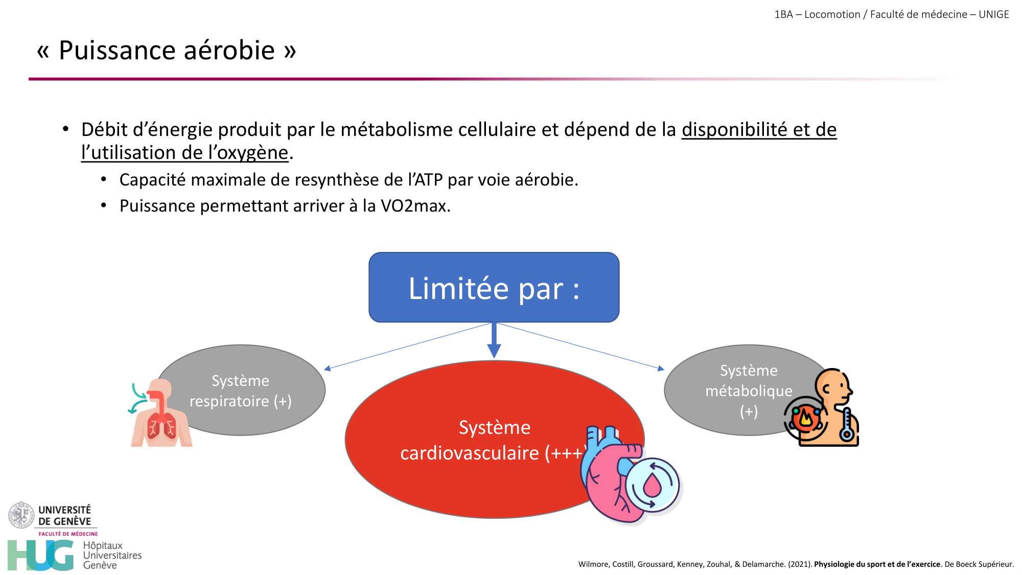 1BA 2025-2026 2026.04.16 - Entraînement physique - Ivo NETO SILVA page 19