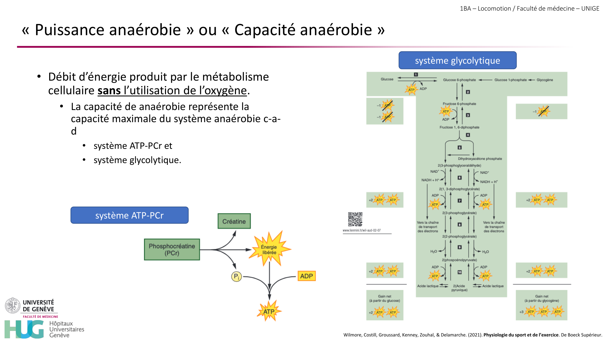 1BA 2025-2026 2026.04.16 - Entraînement physique - Ivo NETO SILVA page 20