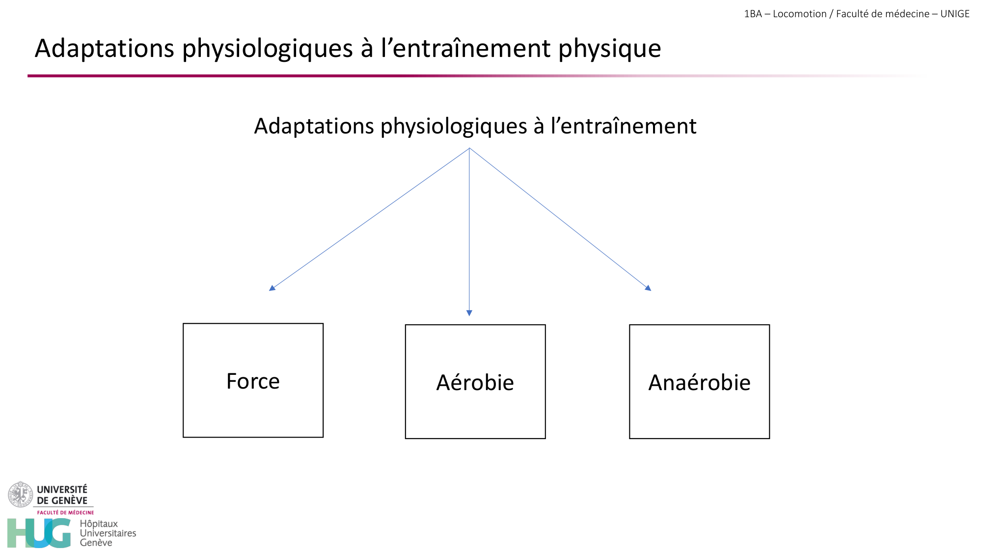 1BA 2025-2026 2026.04.16 - Entraînement physique - Ivo NETO SILVA page 21