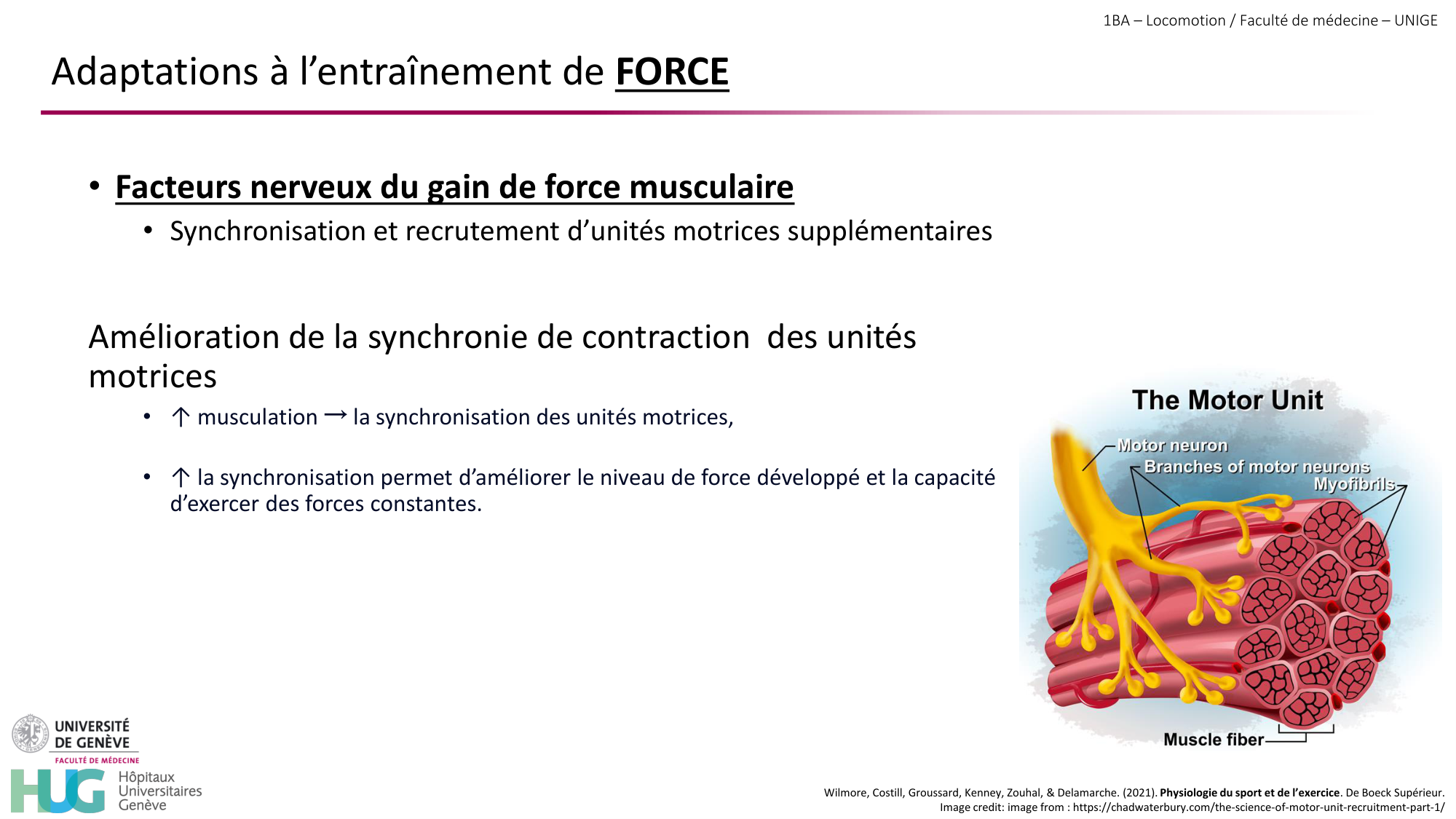 1BA 2025-2026 2026.04.16 - Entraînement physique - Ivo NETO SILVA page 23