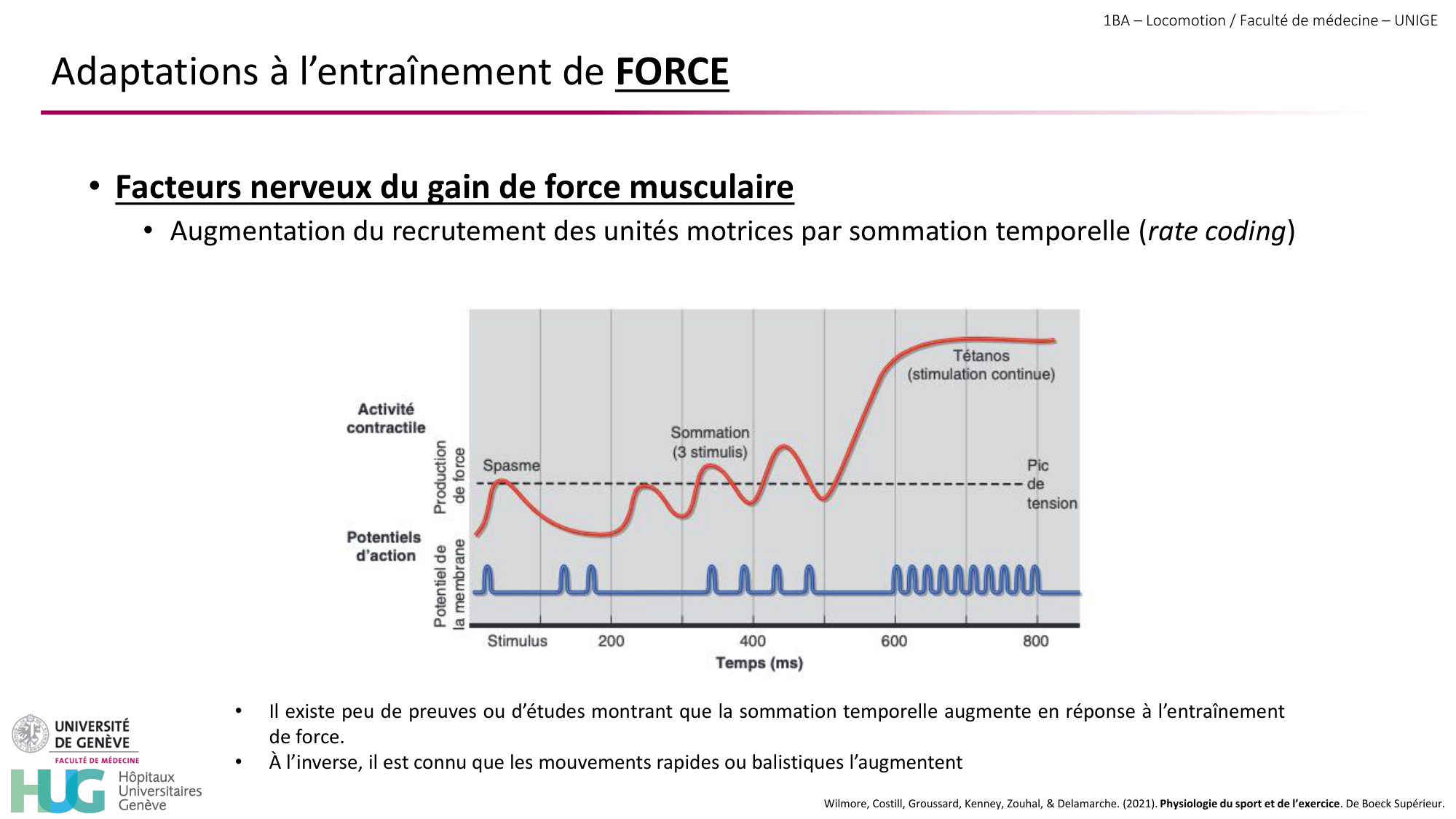 1BA 2025-2026 2026.04.16 - Entraînement physique - Ivo NETO SILVA page 24