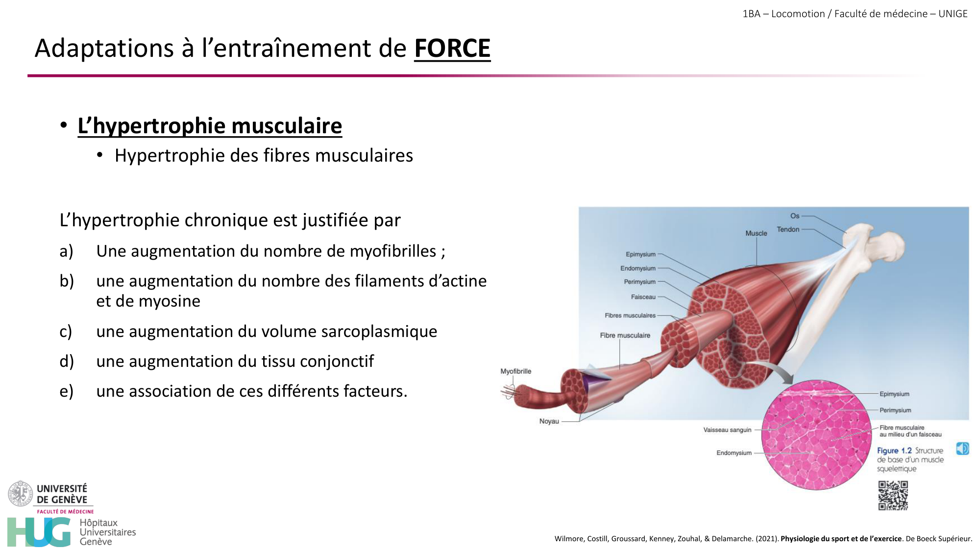 1BA 2025-2026 2026.04.16 - Entraînement physique - Ivo NETO SILVA page 28