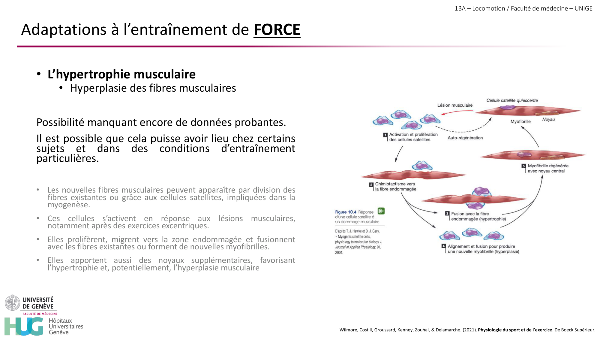 1BA 2025-2026 2026.04.16 - Entraînement physique - Ivo NETO SILVA page 30