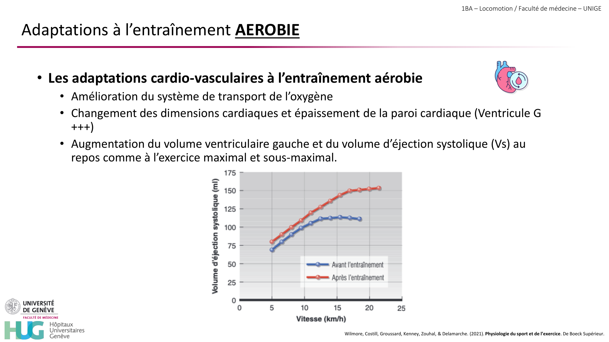 1BA 2025-2026 2026.04.16 - Entraînement physique - Ivo NETO SILVA page 35