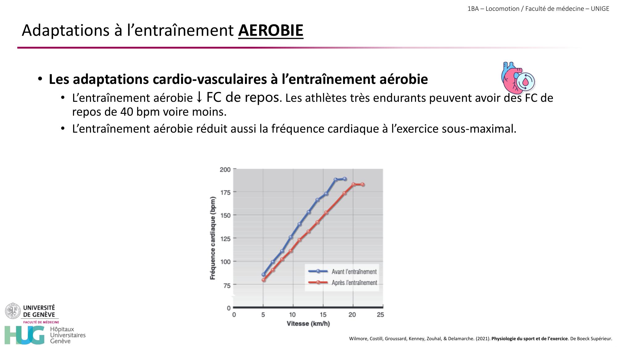 1BA 2025-2026 2026.04.16 - Entraînement physique - Ivo NETO SILVA page 36